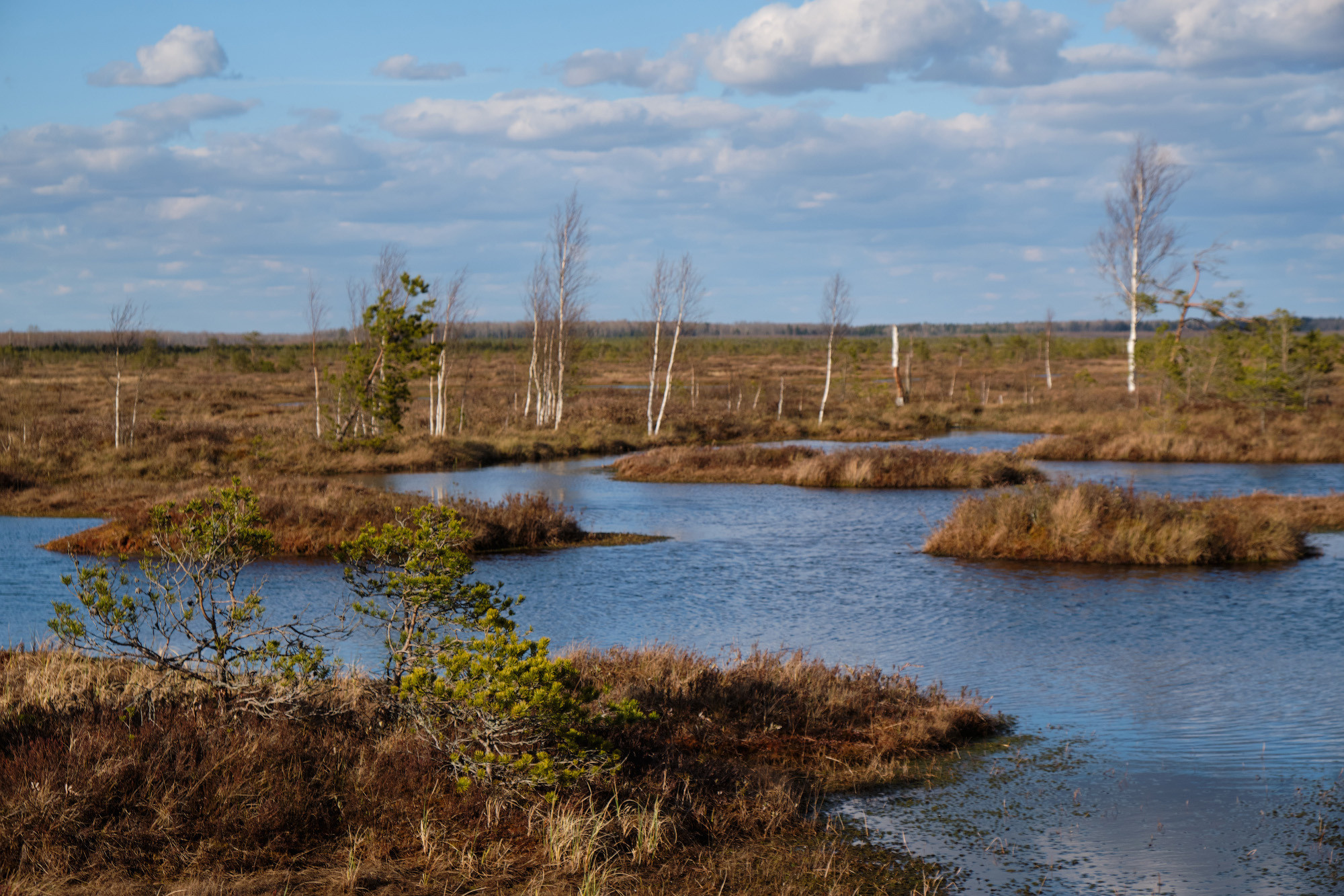 Велопоход по болоту Ельня. Репортажный фотограф Дмитрий Литвинский. Минск, Беларусь, мир