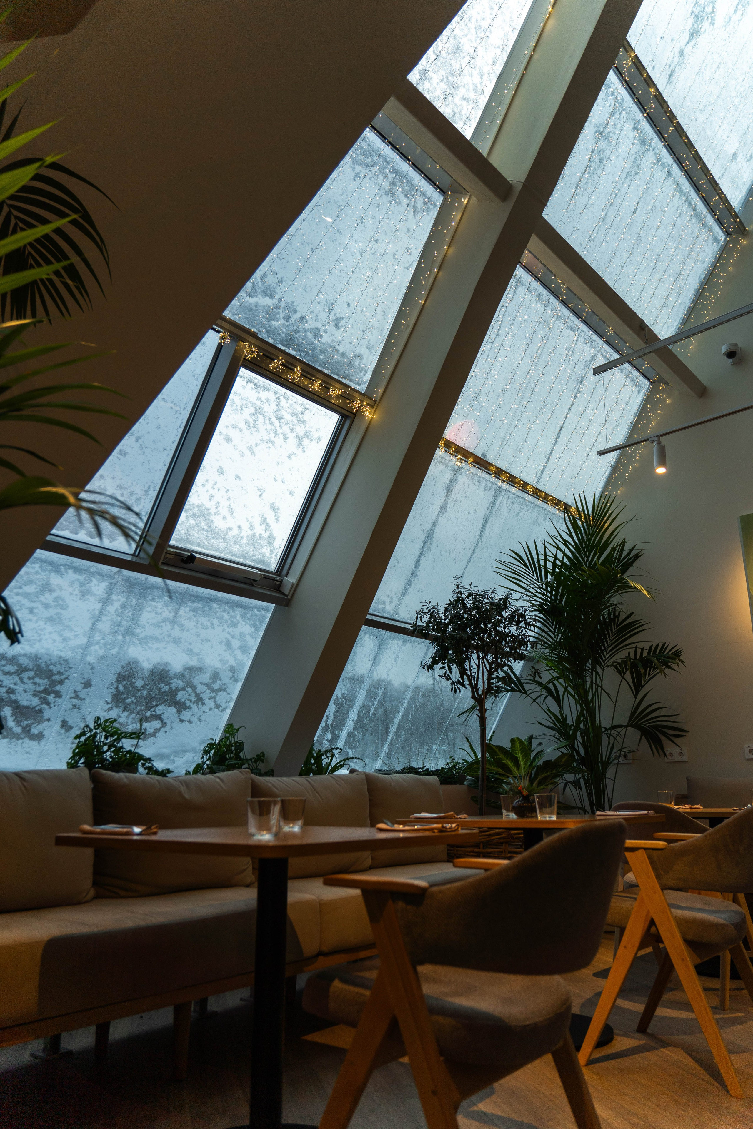 Кафе Lamitie Лужники. Фото и видео съёмка в Москве и МО Александр Чапала и Трояк Алеся