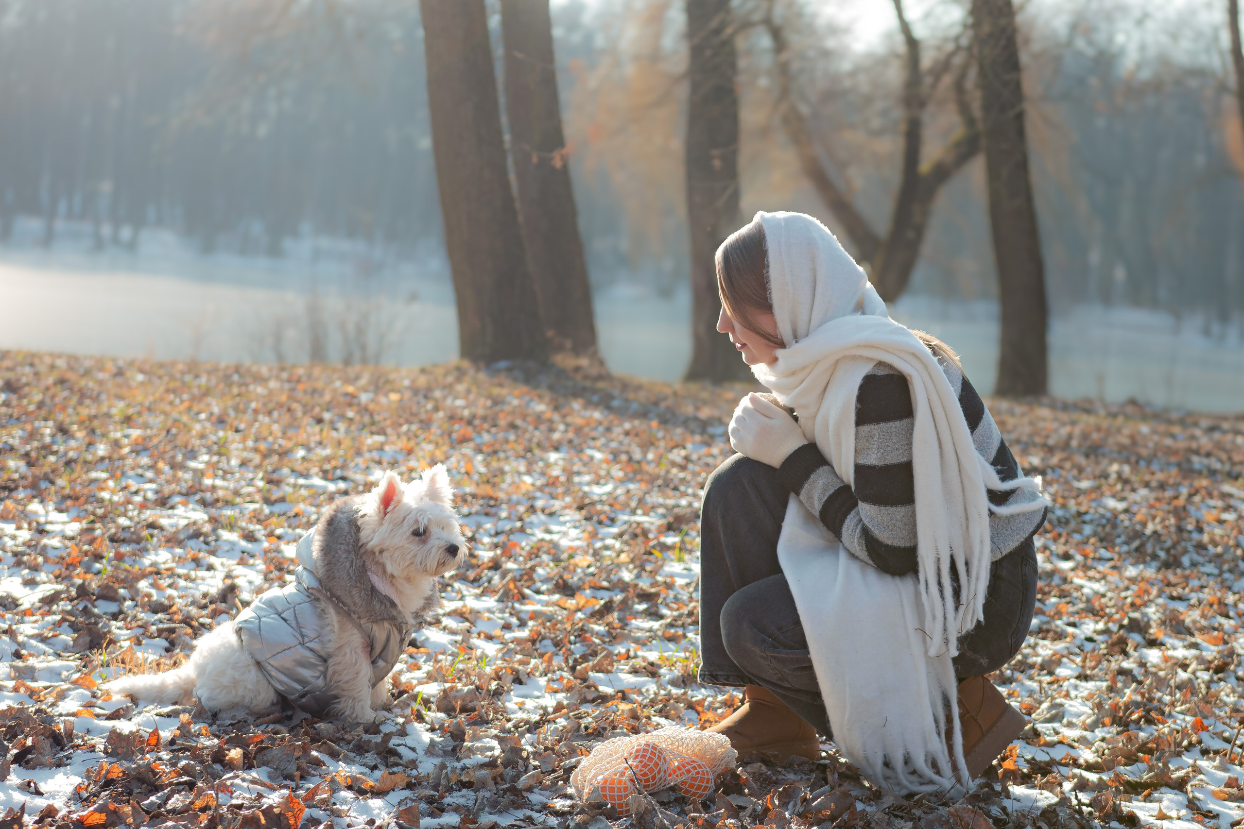 Фотосессия с щенком Минск