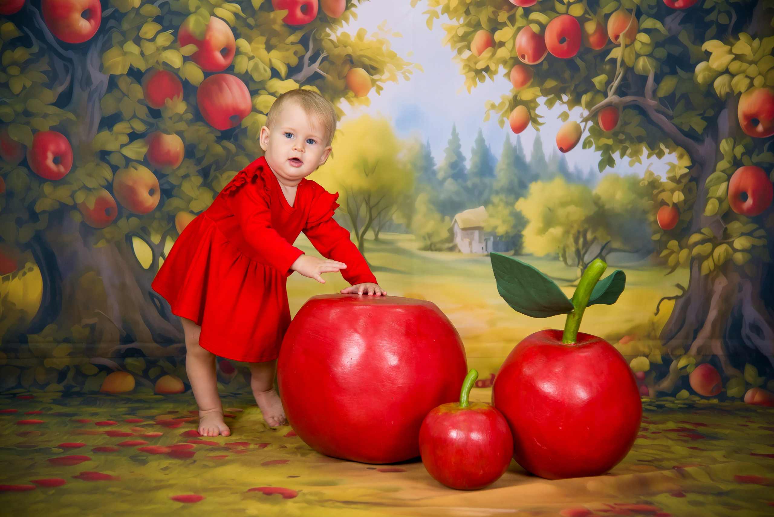 Яблоневый сад. Выпускные альбомы Ярославль