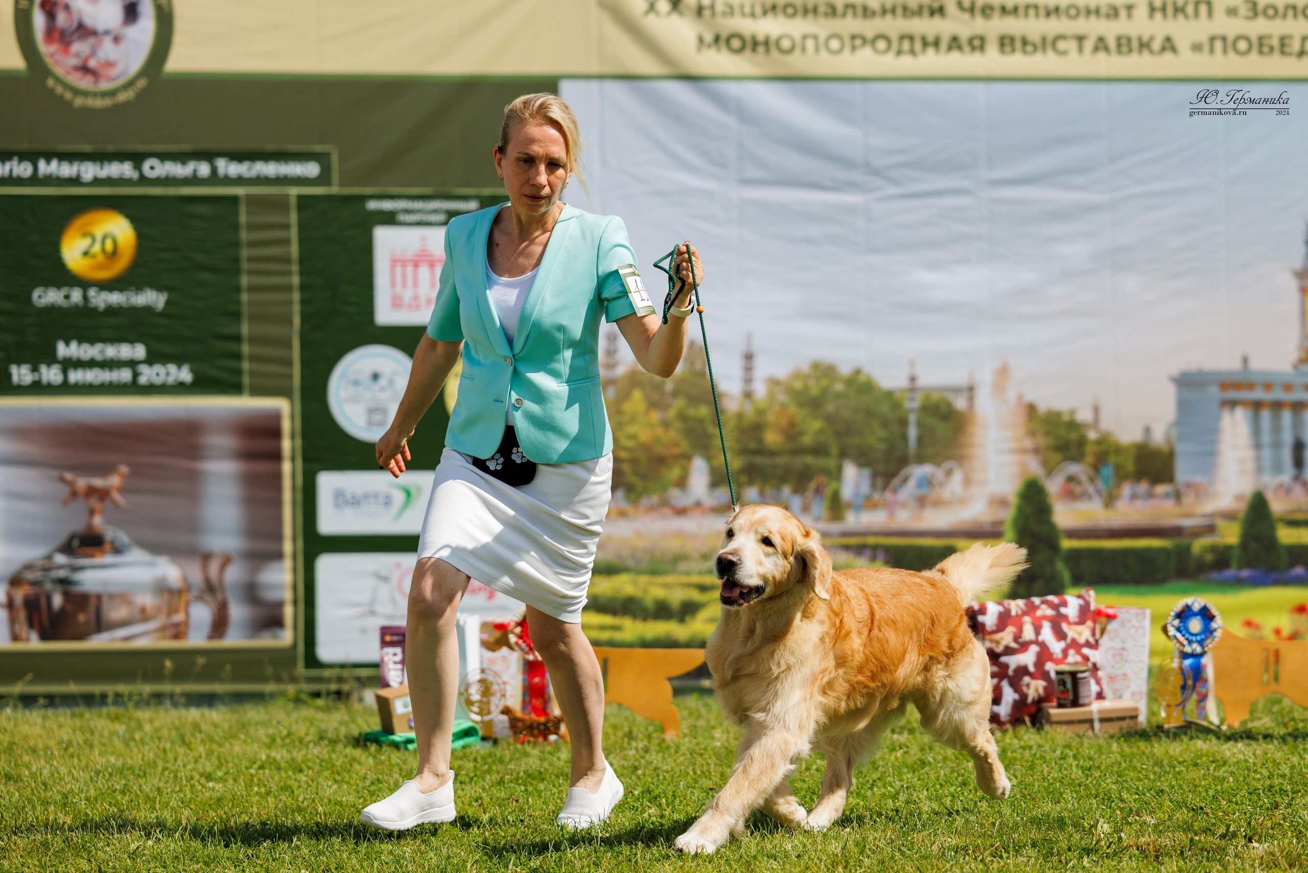 Голдены 15-16.06.2024. Фотограф-анималист Юлия Германика