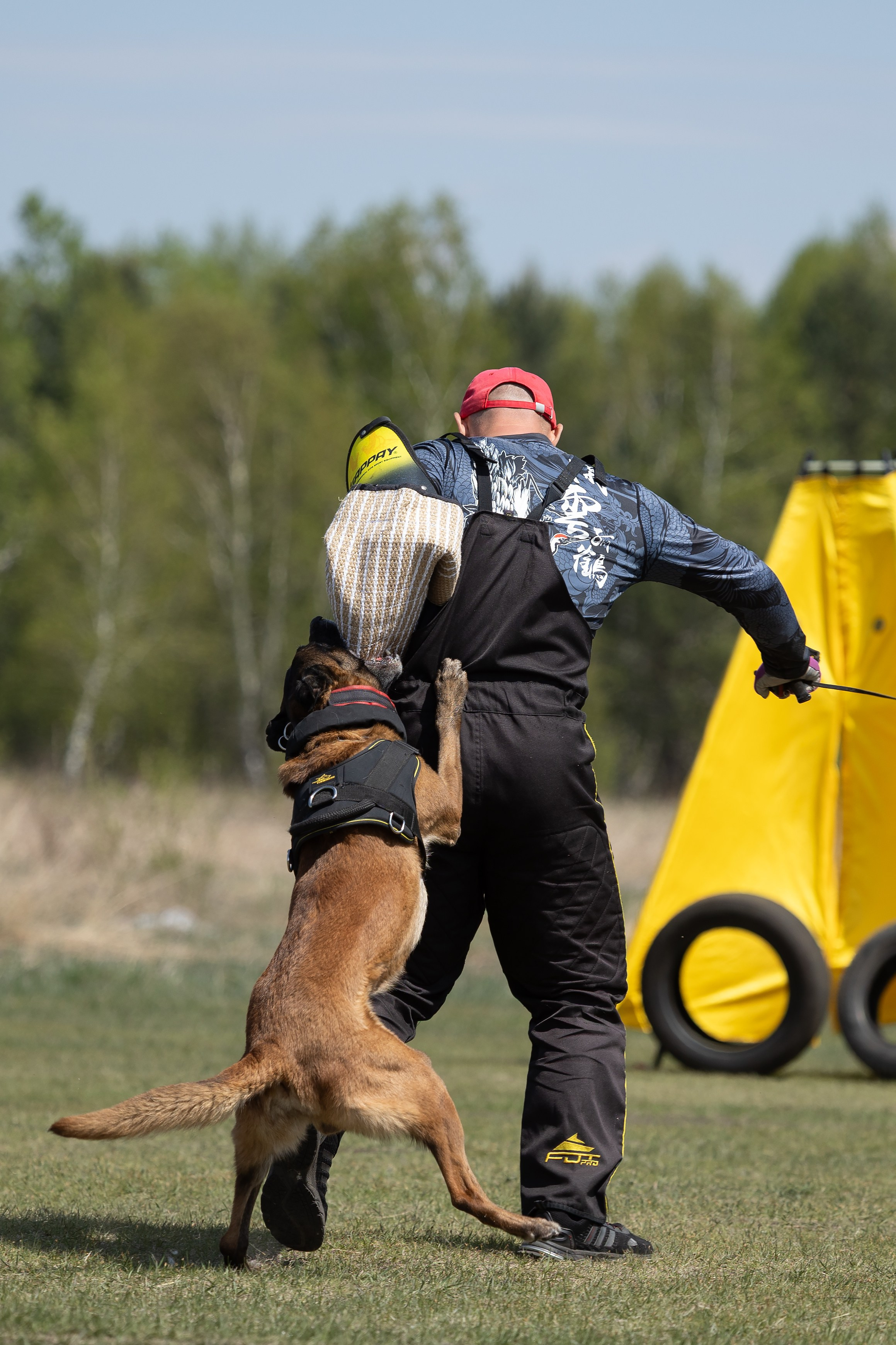 Тренинг по защите с Юрием Бояркиным г. Иркутск. Фотограф-анималист|Иркутск