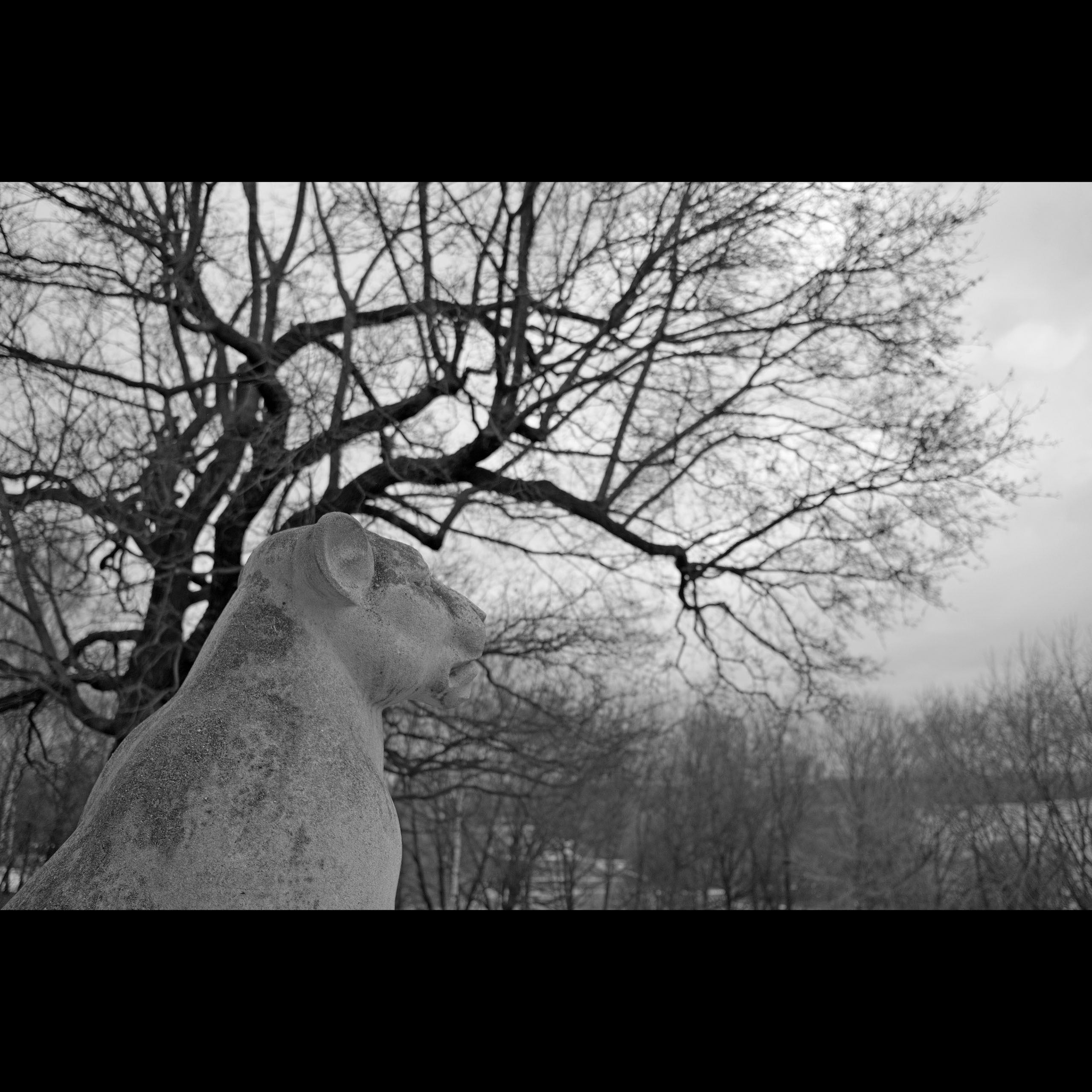 Фотоальбом с разными съёмками