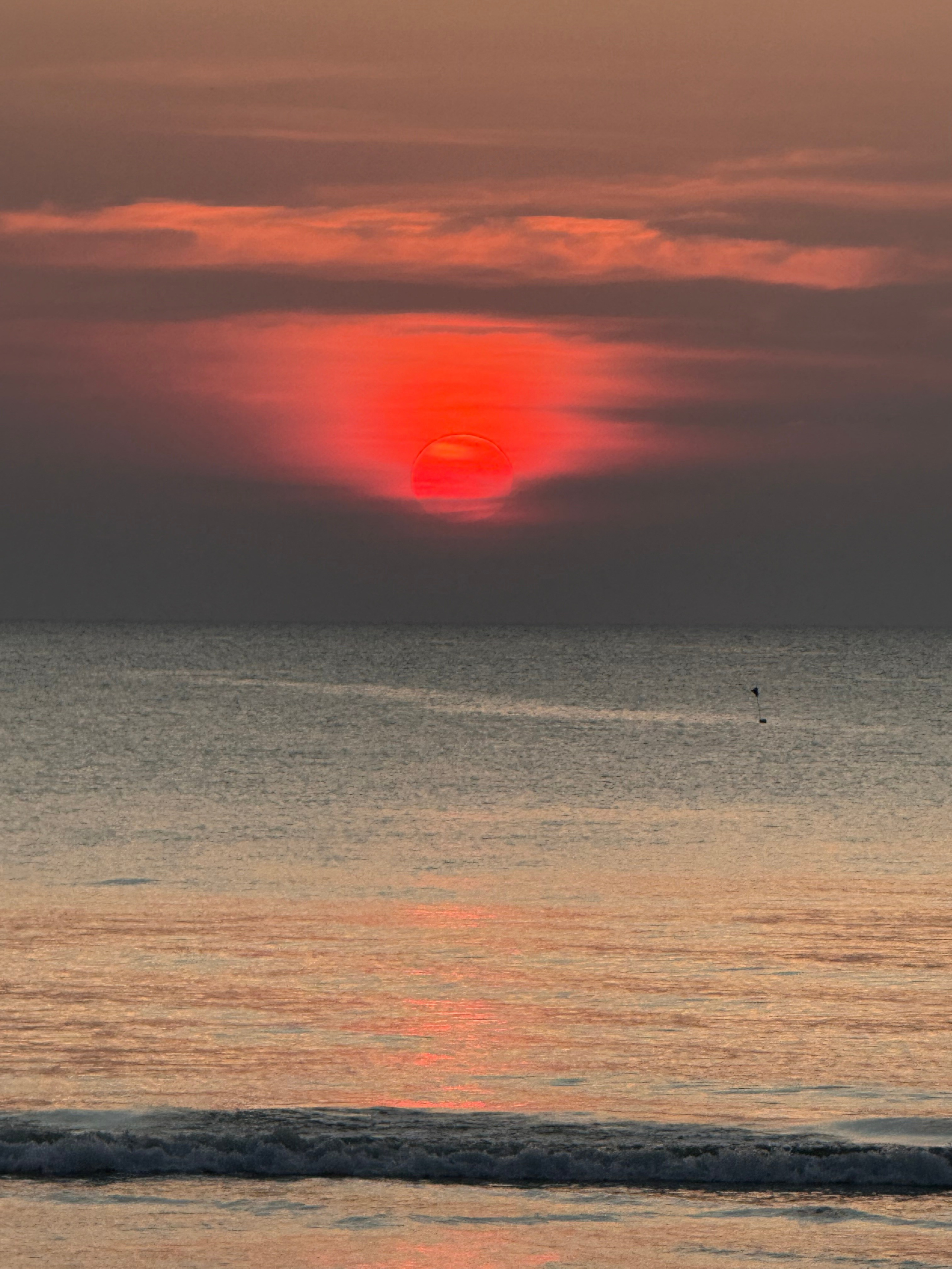 Фотограф Москва. Фотограф и художник в Москве Евгения Нюнина