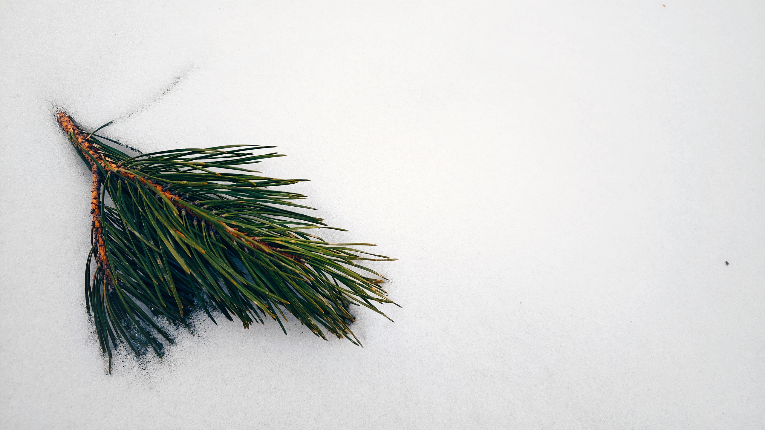 Игорь Урывский. Фотограф Красноярск