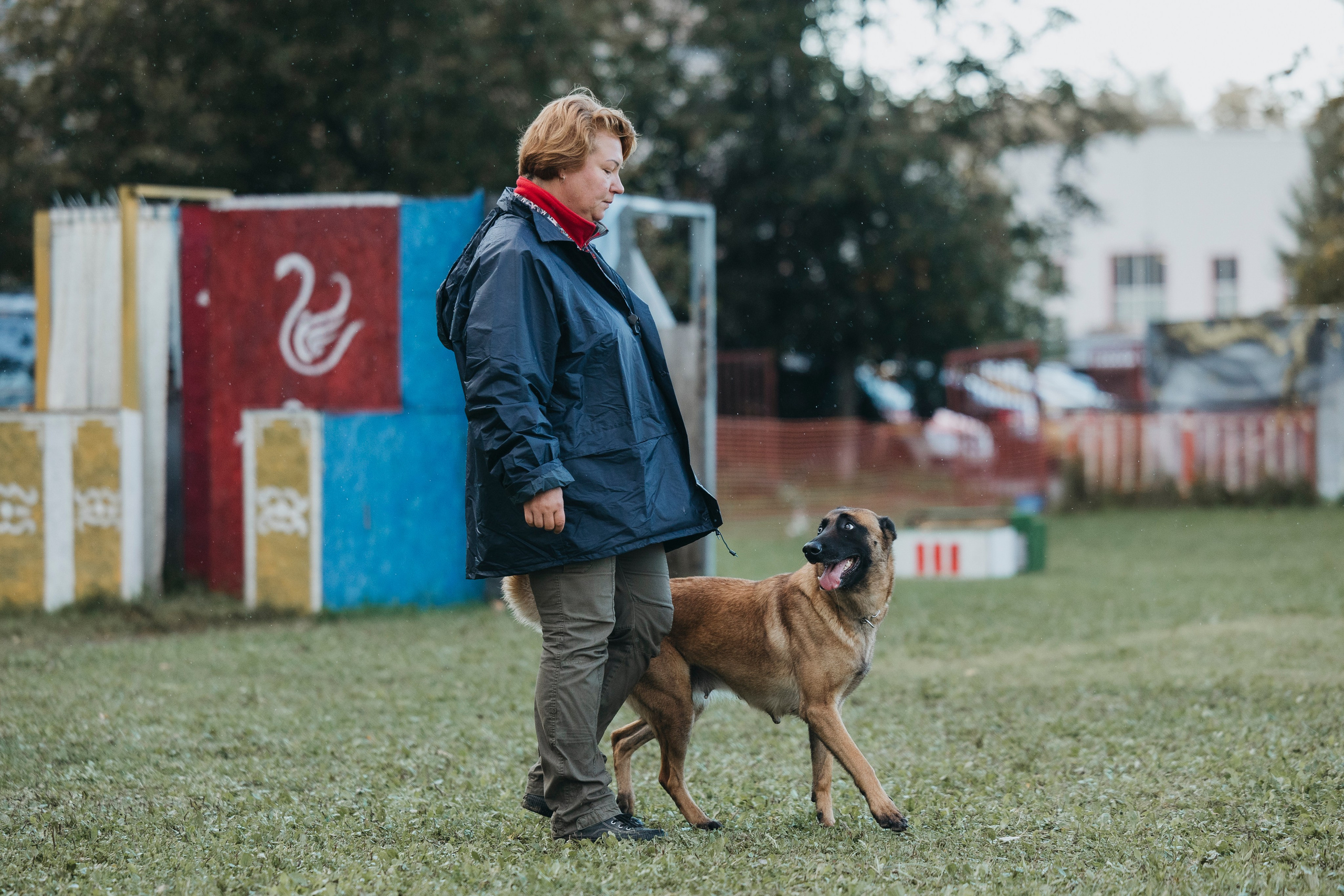 Испытания по мондьорингу г. Пушкин 29.09.2024. Фотограф-анималист Анна Маринич