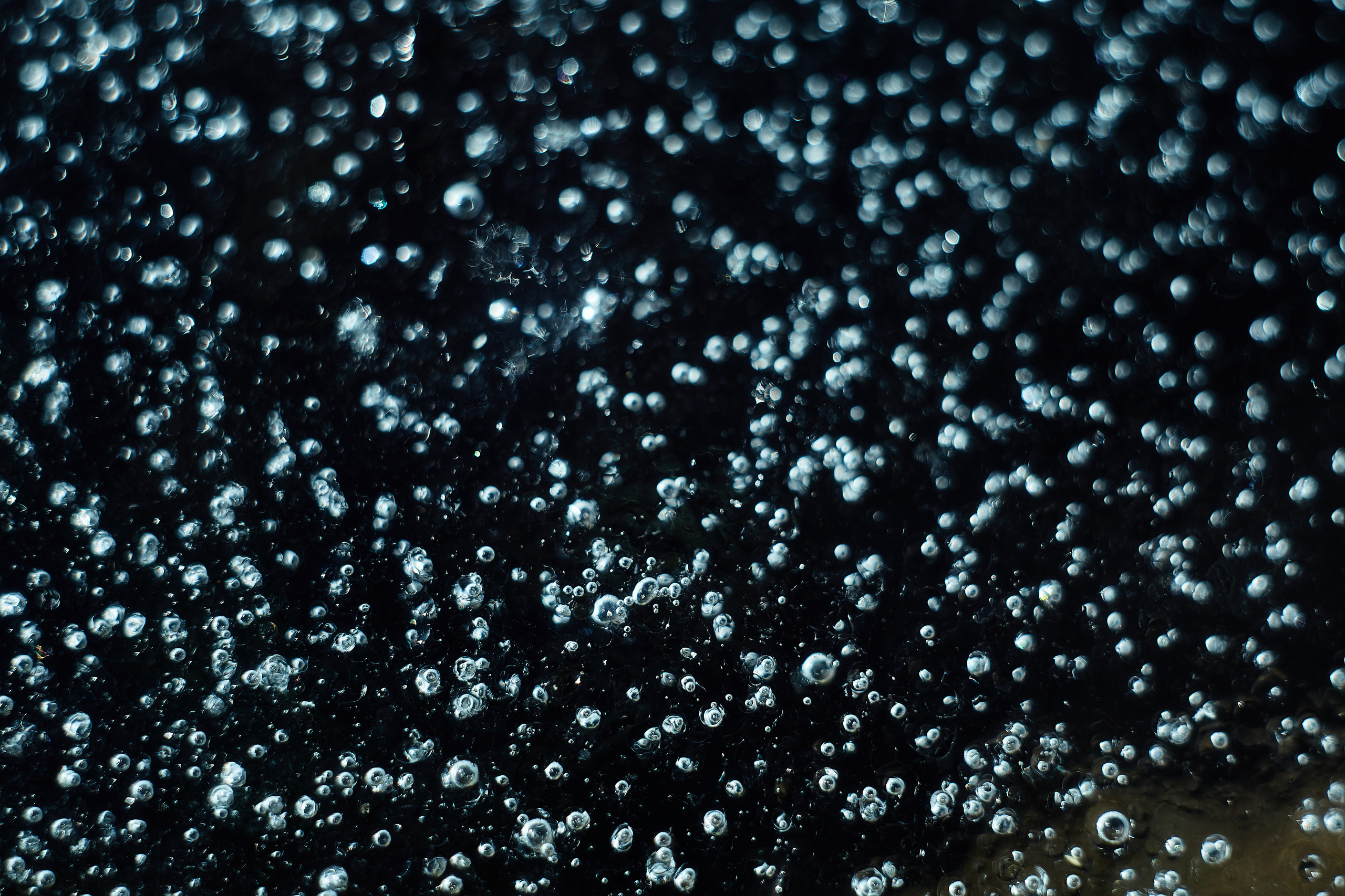 Art пейзаж. Фотограф Анастасия Федорова  Санкт-Петербург