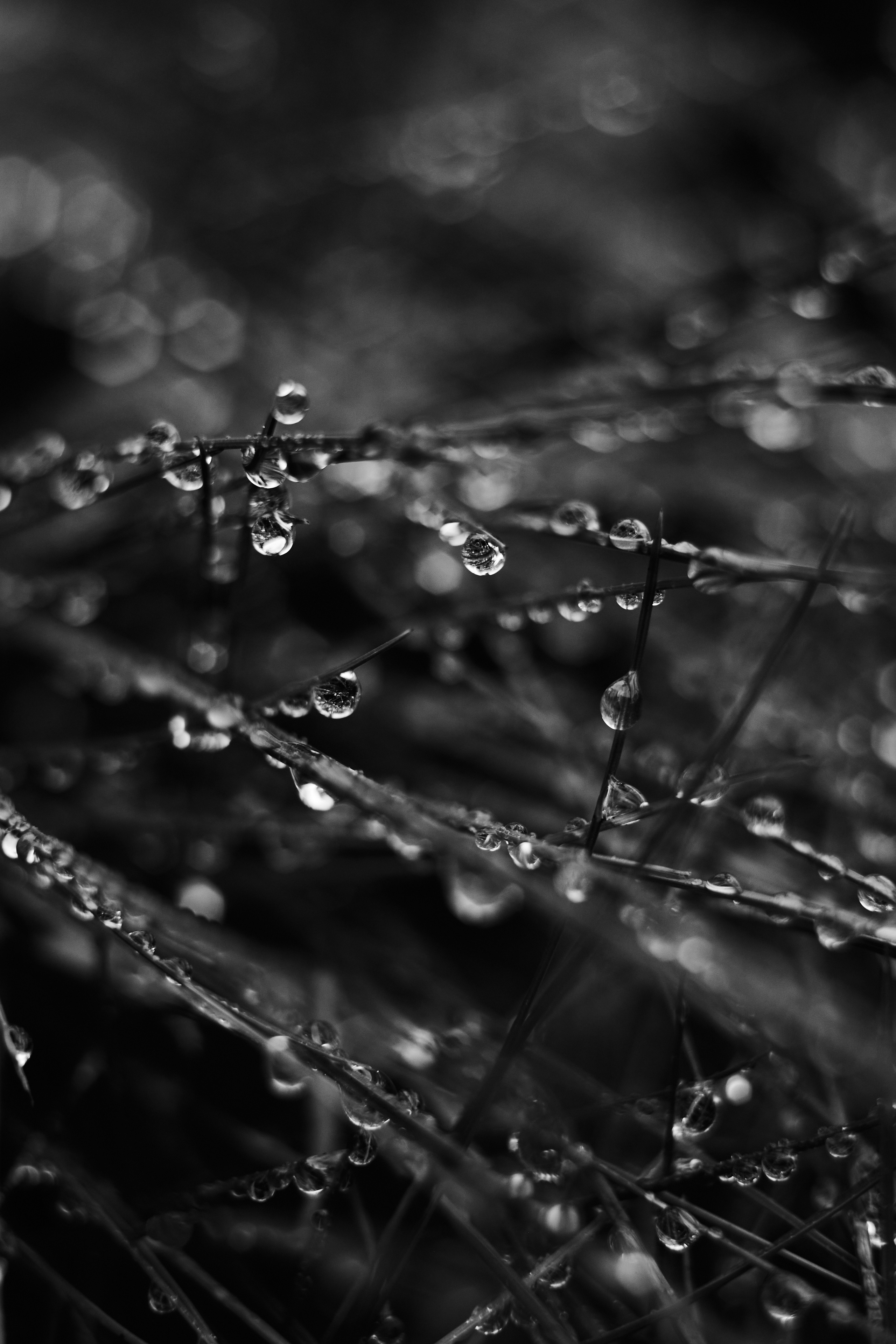 Art пейзаж. Фотограф Анастасия Федорова  Санкт-Петербург