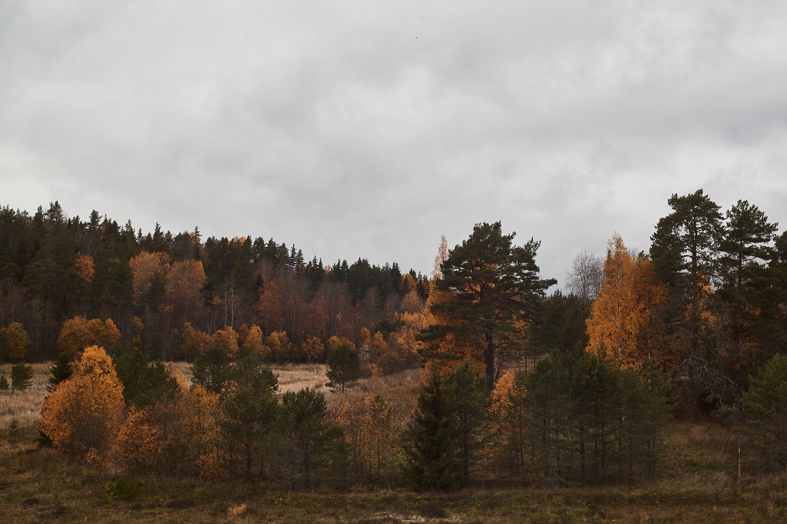 Разное. Фотограф Анастасия Федорова  Санкт-Петербург