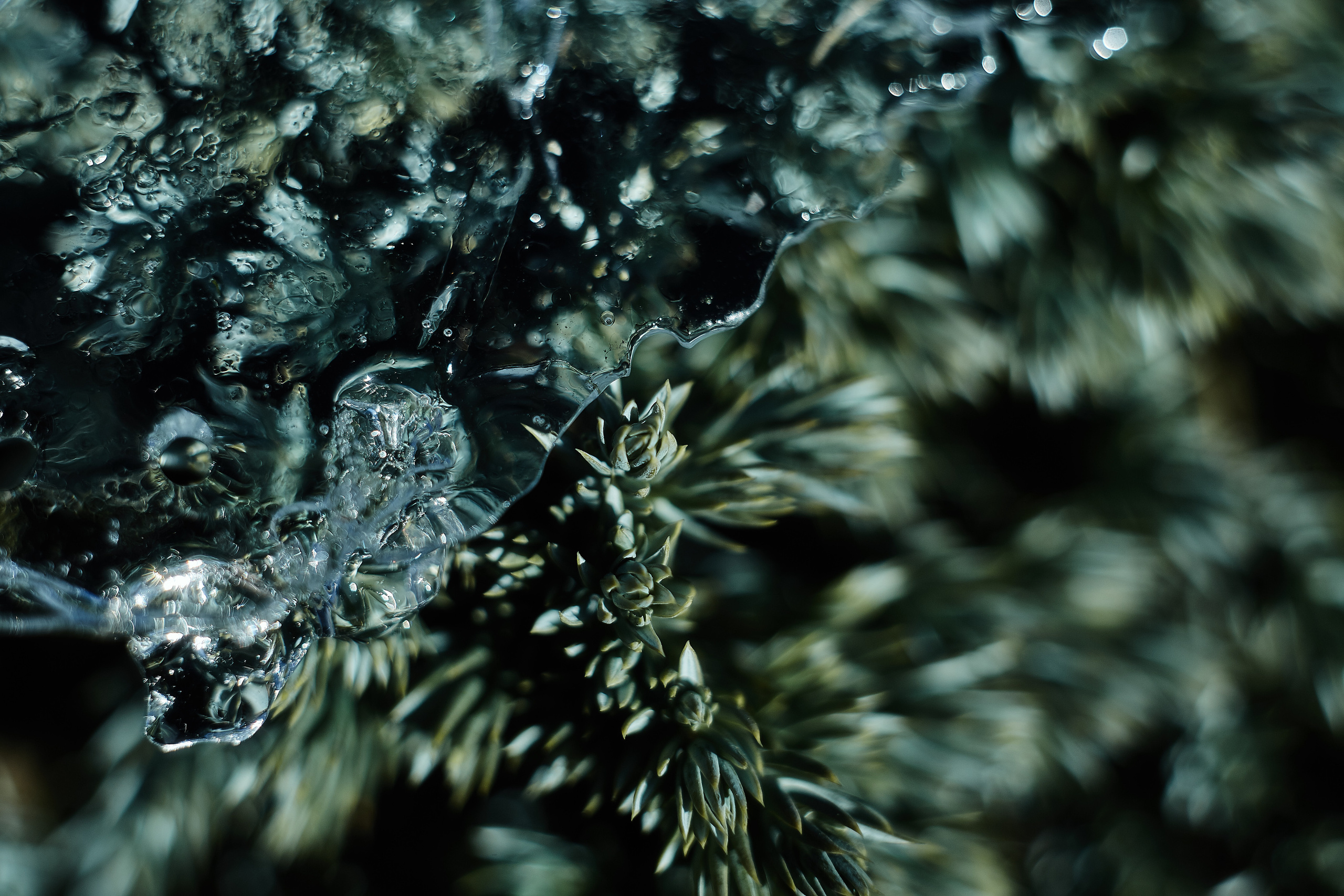 Art пейзаж. Фотограф Анастасия Федорова  Санкт-Петербург