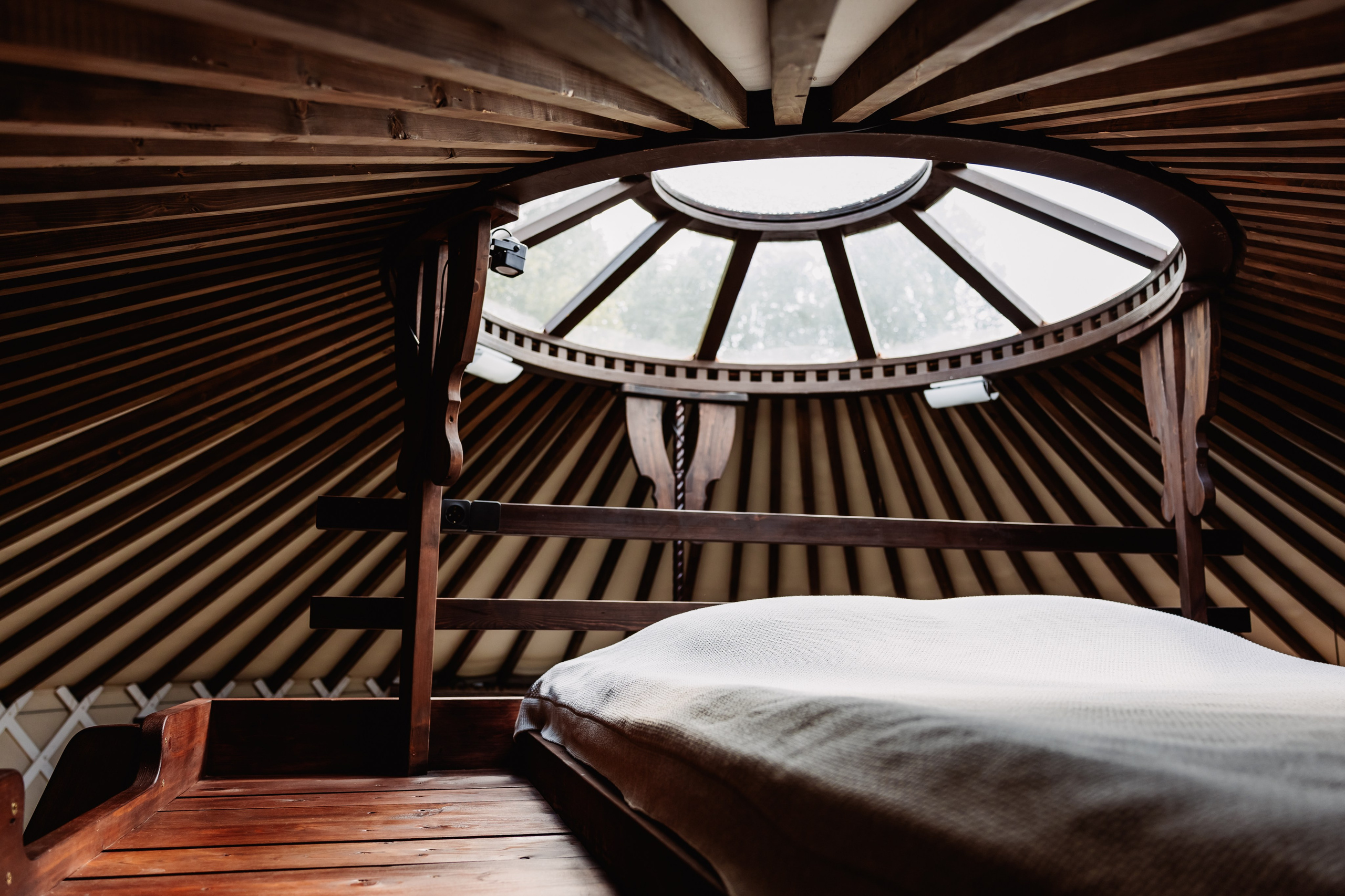 БЕРЕЗКА ВИЛАДЖ | Глэмпинг в Коломне | Юрта «Янтарная». ФОТОГРАФ ИРИНА ШАМАТАВА