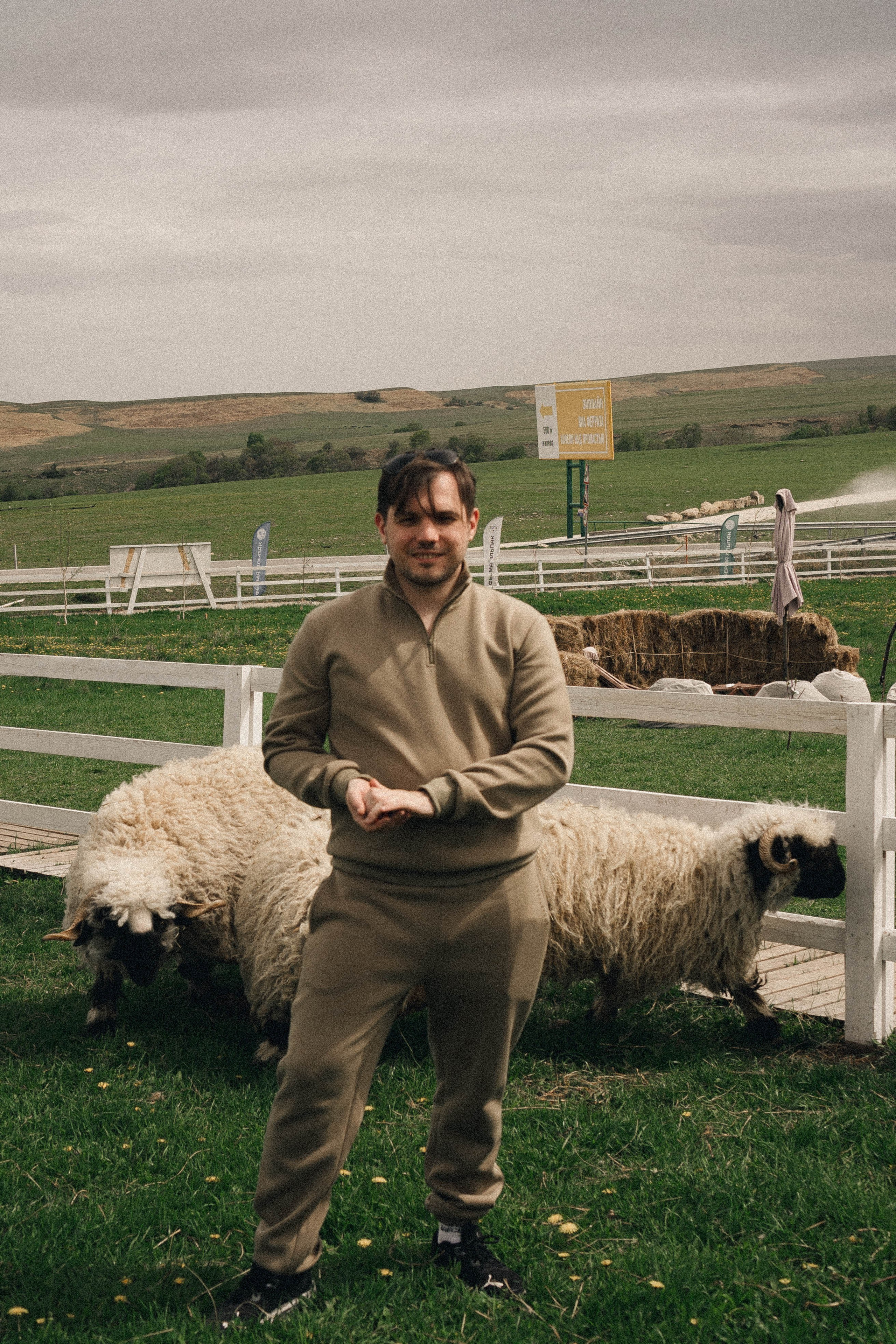 Ферма Альпак. Профессиональный фотограф, Санкт-Петербург — Виктория Богомолова