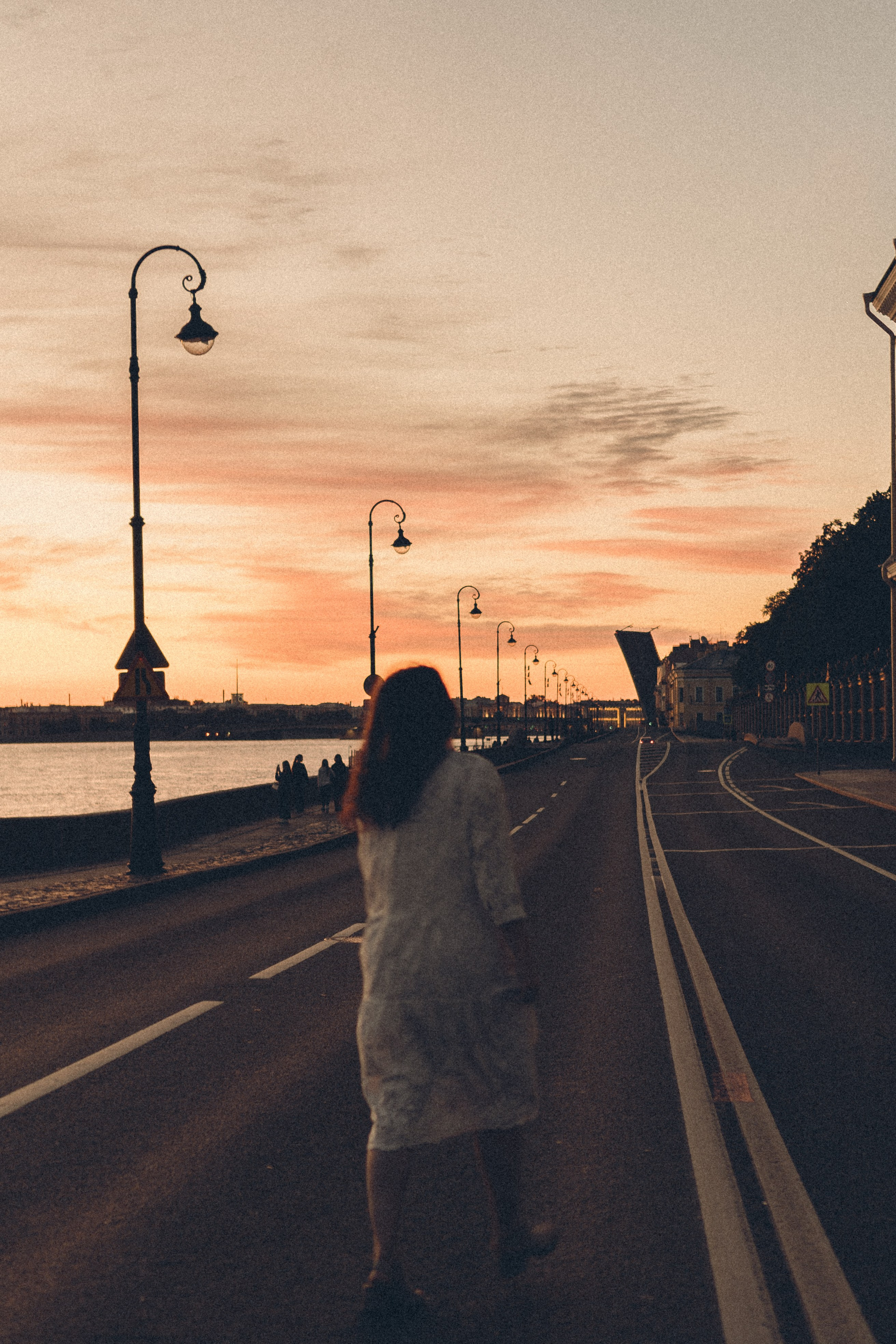 РАССВЕТ С РАЗВОДНЫМИ МОСТАМИ. Профессиональный фотограф, Санкт-Петербург — Виктория Богомолова