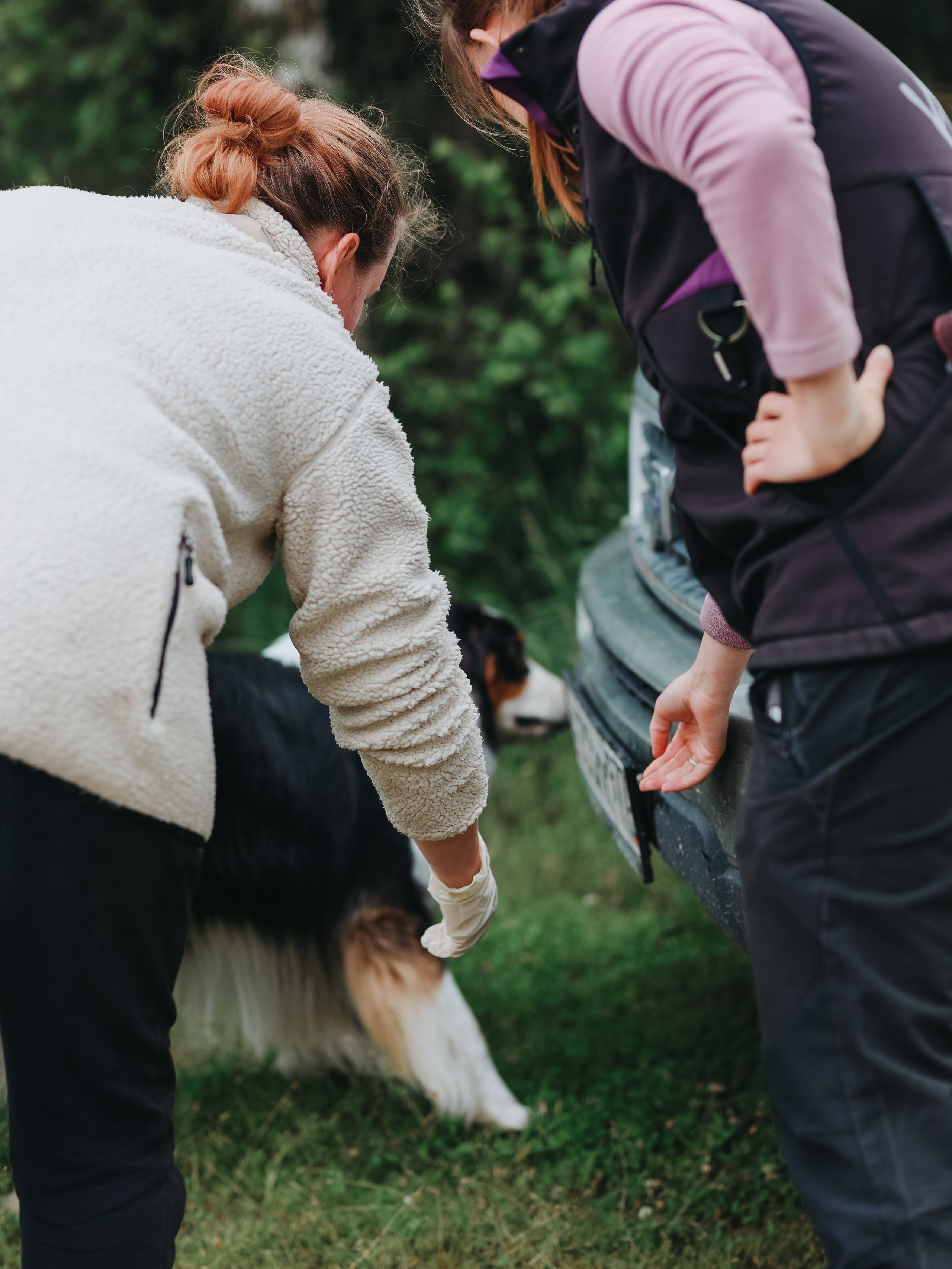 Лагерь ноузворк. Фотограф-анималист в Москве Кириллова Татьяна
