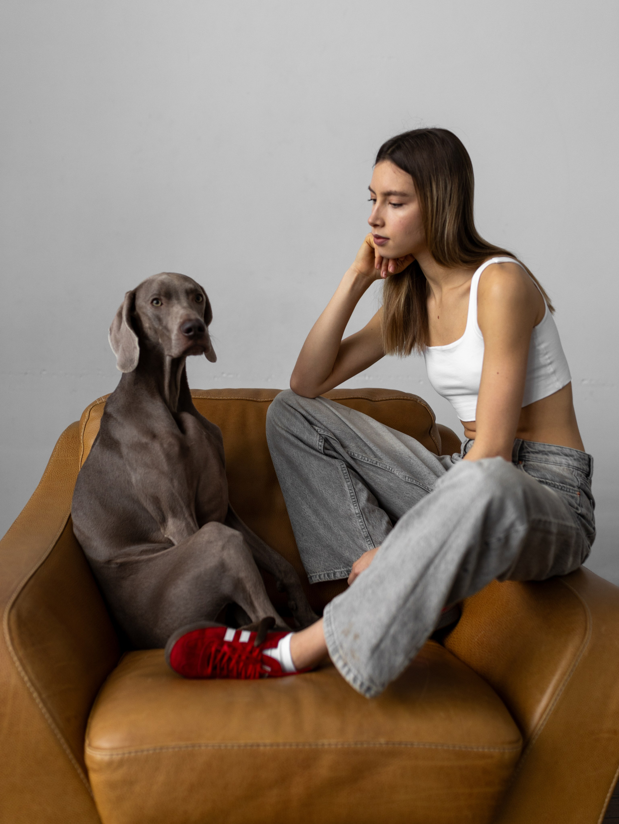 Сенча и Даша. Фотограф-анималист в Москве Кириллова Татьяна