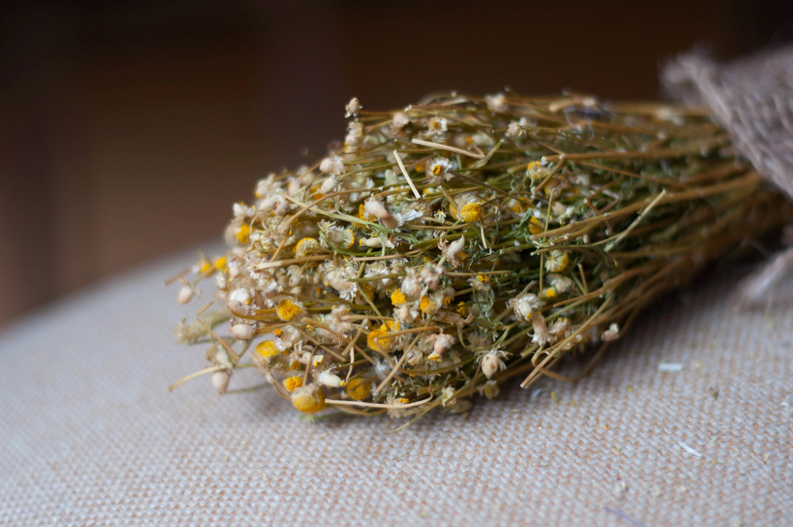 Предметная. Фотограф в Санкт-Петербурге