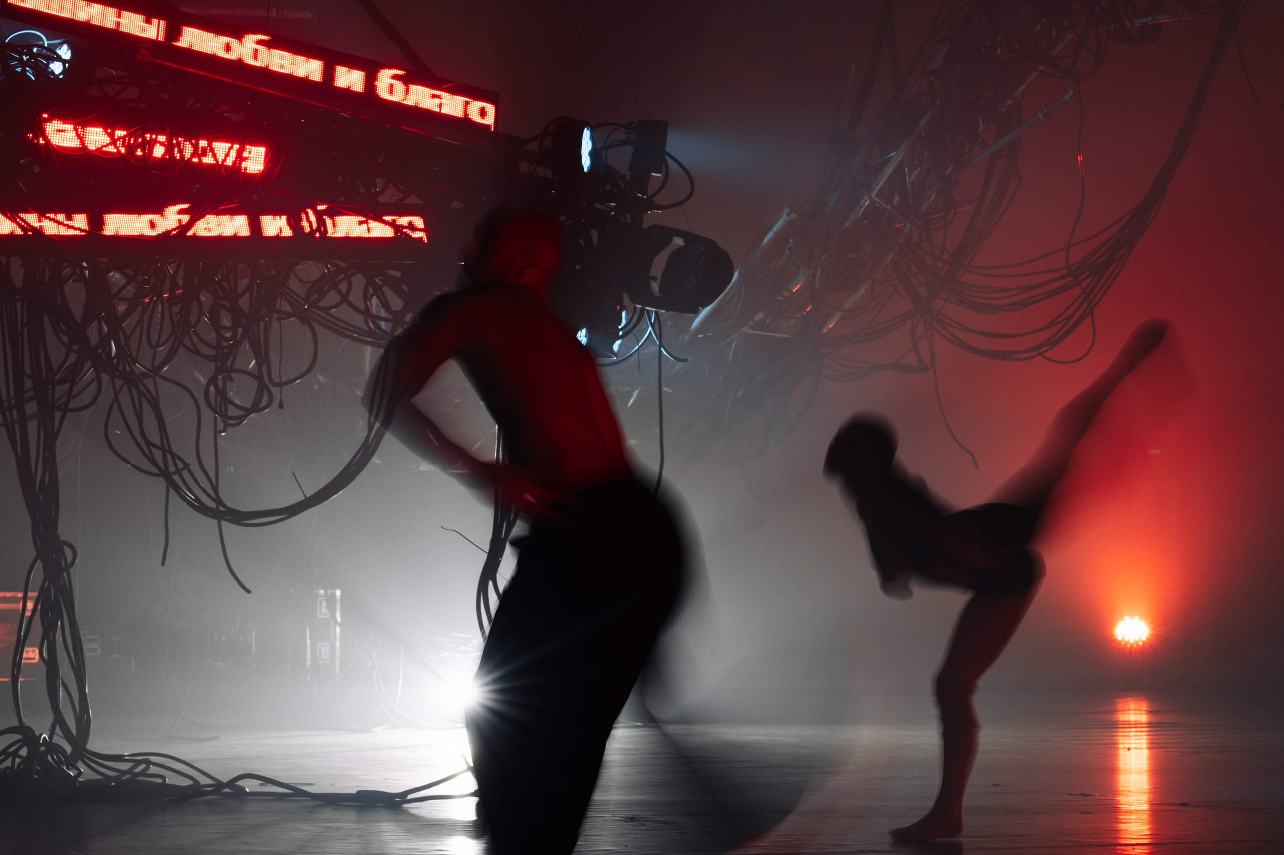 PERFORMA, The Hour of the Horse. @tomrus: Рустам Шагиморданов — фотограф