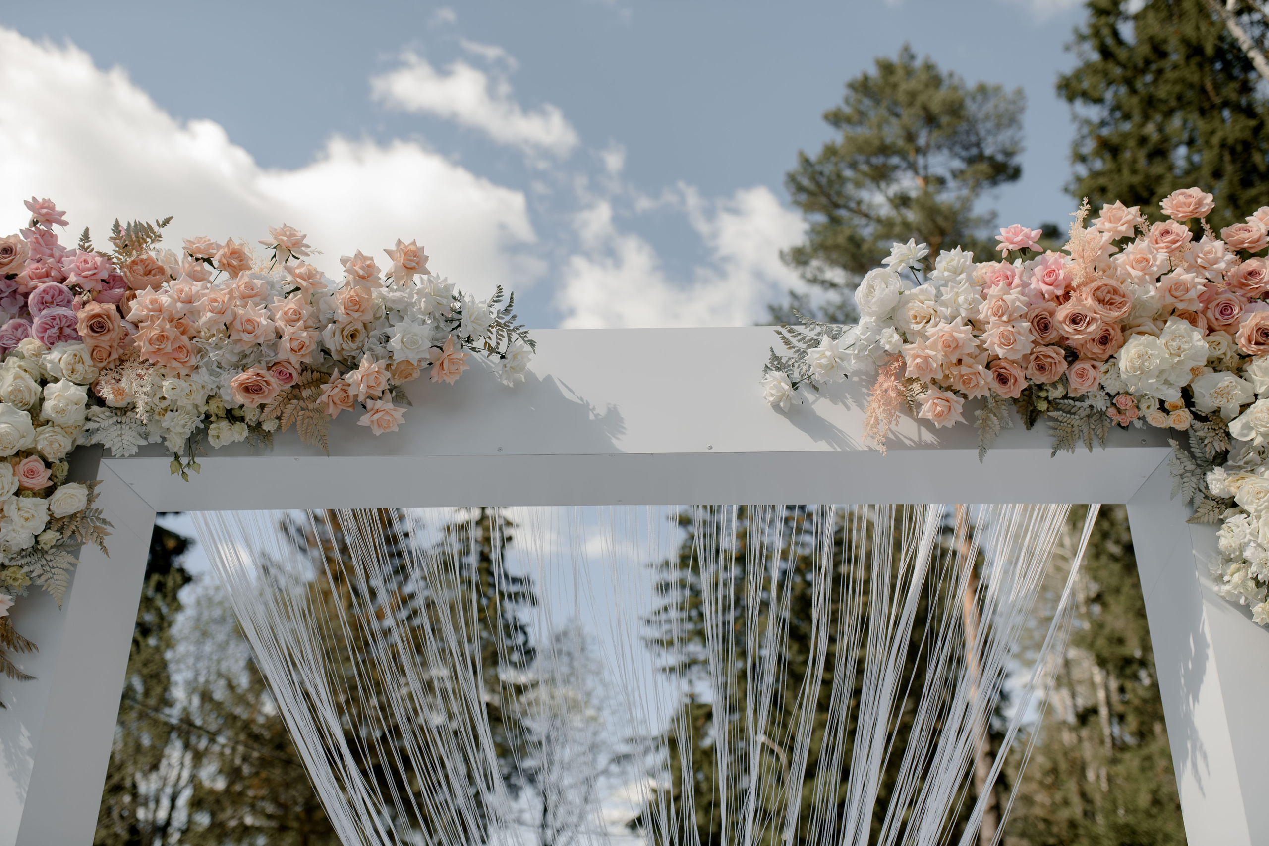 Елена и Александр. Анна Чугунова