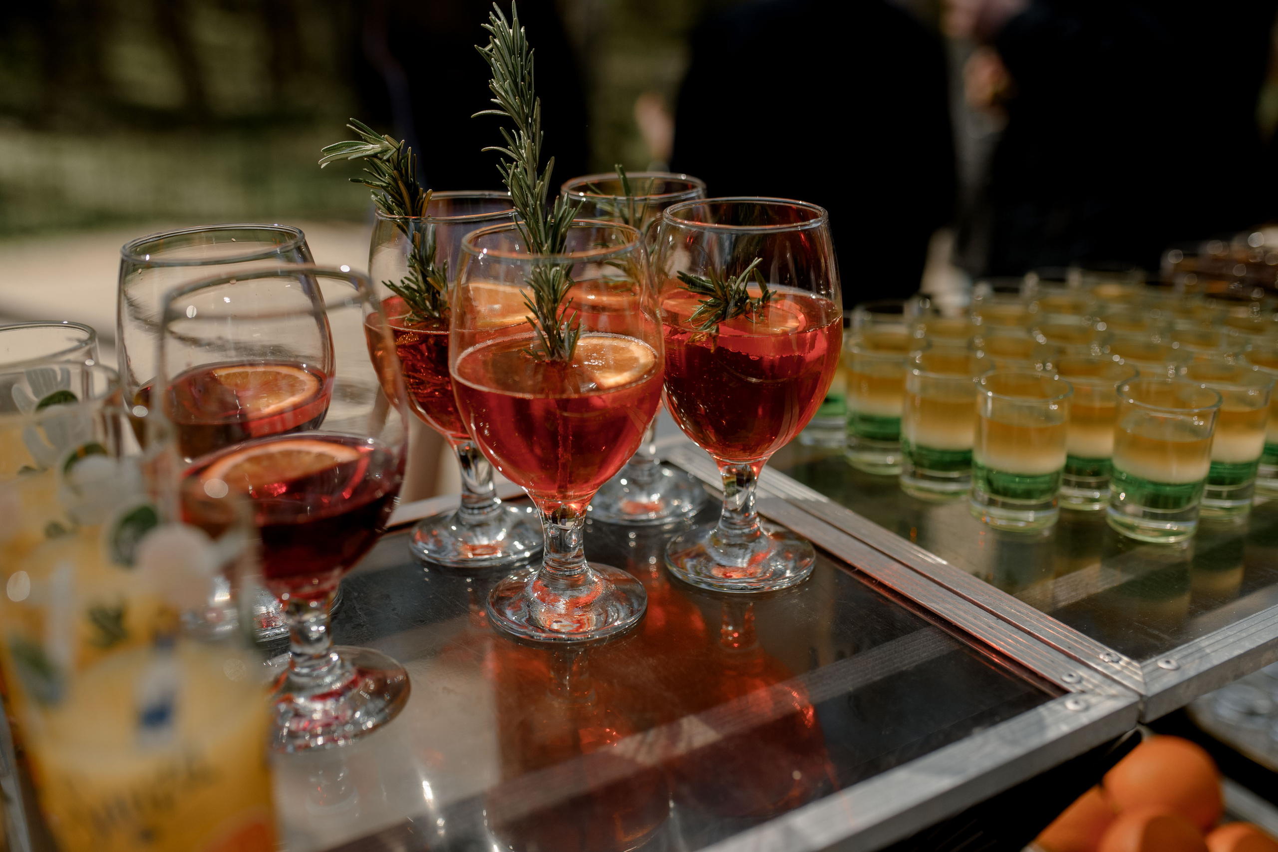 Елена и Александр. Анна Чугунова