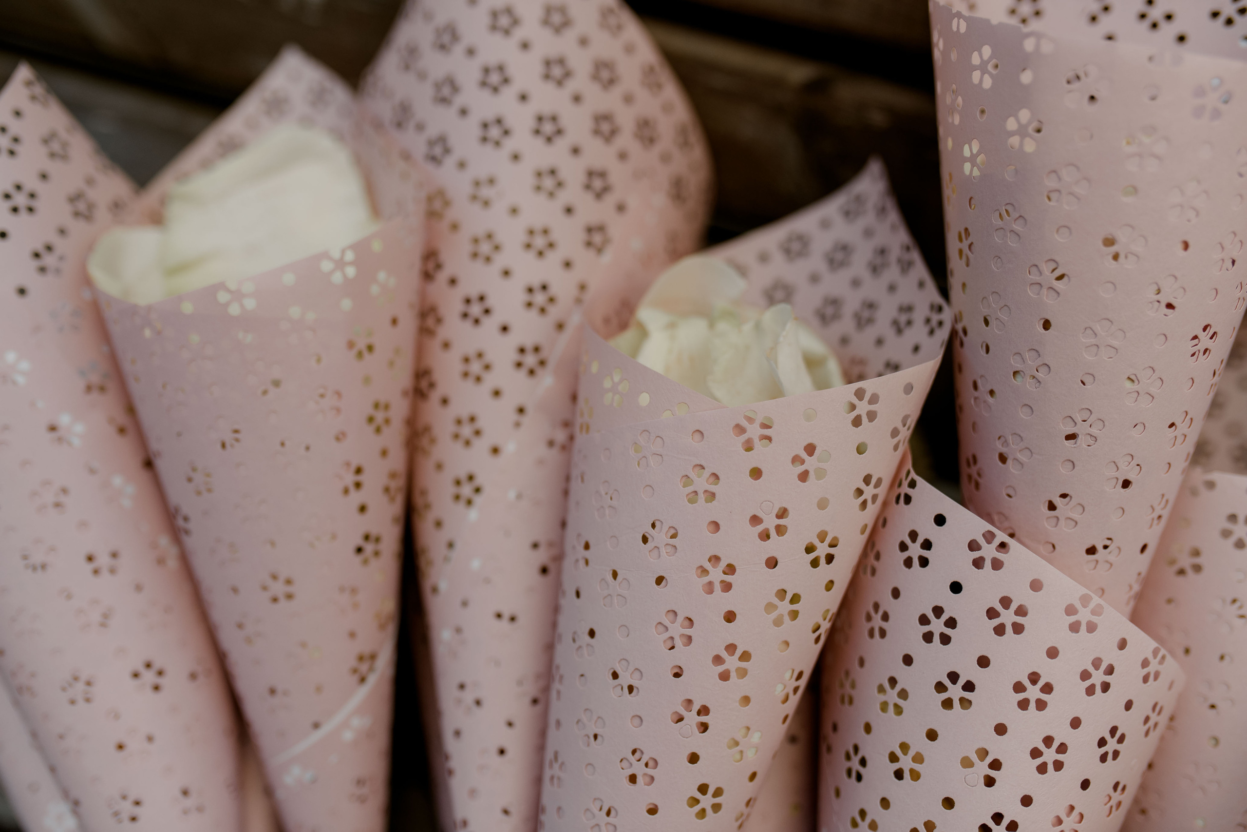 Елена и Александр. Анна Чугунова