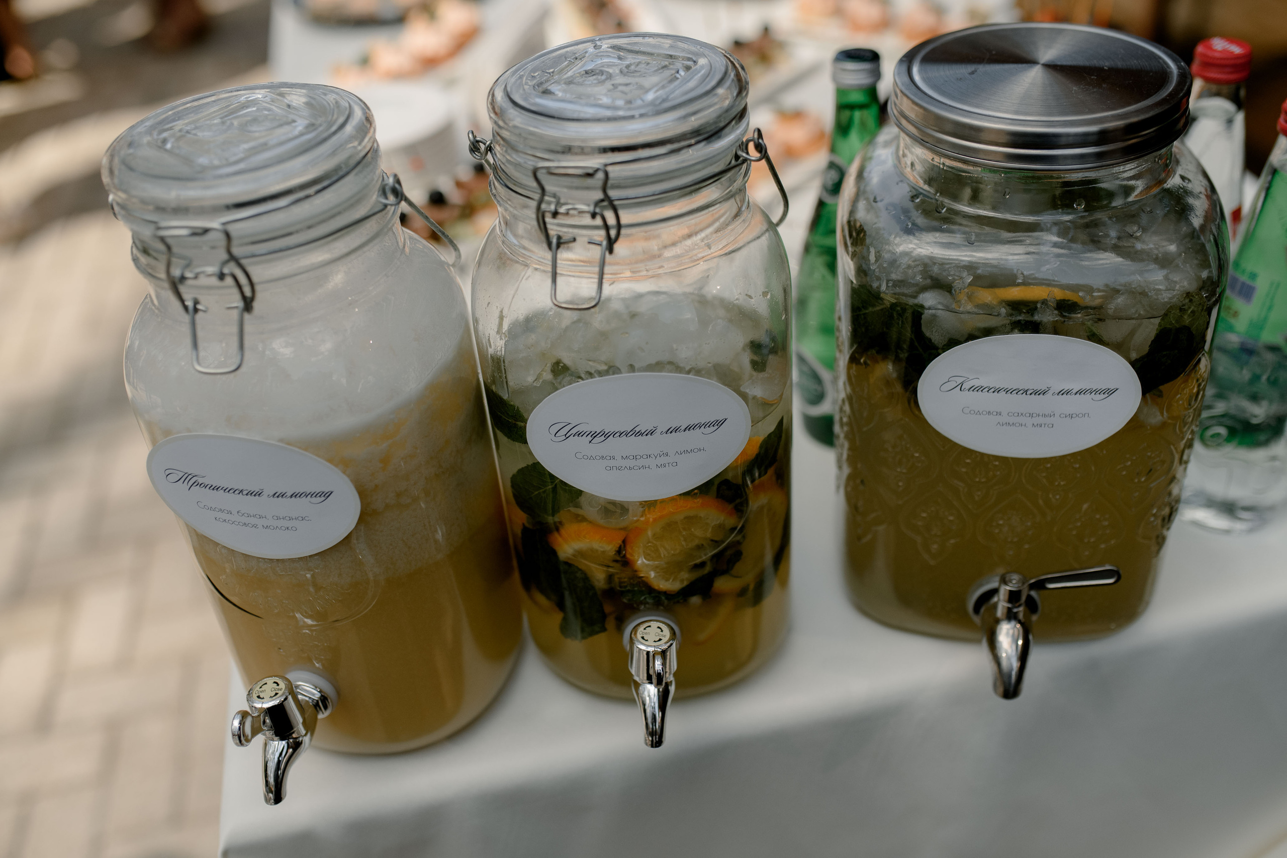 Елена и Александр. Анна Чугунова