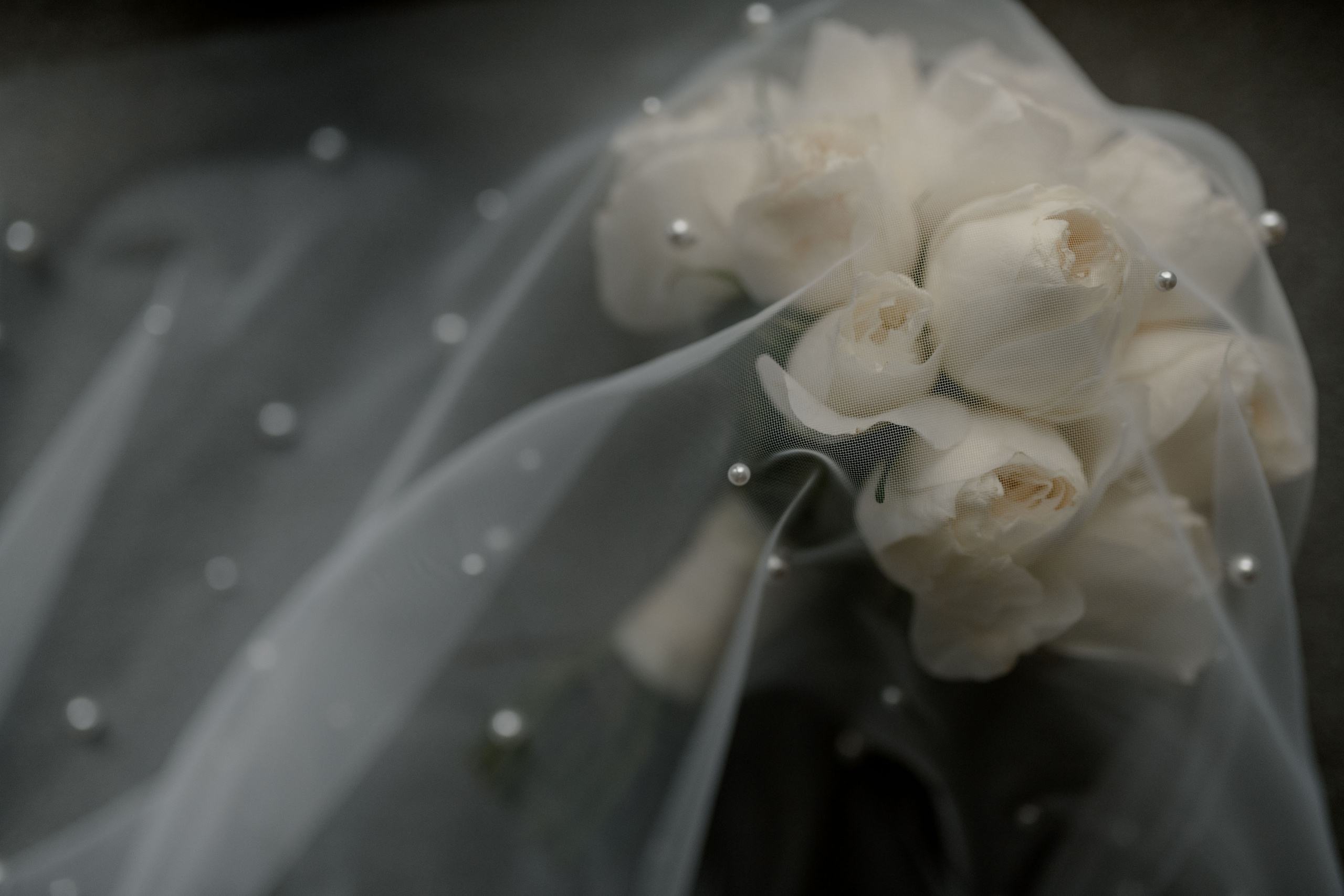 Елена и Александр. Анна Чугунова