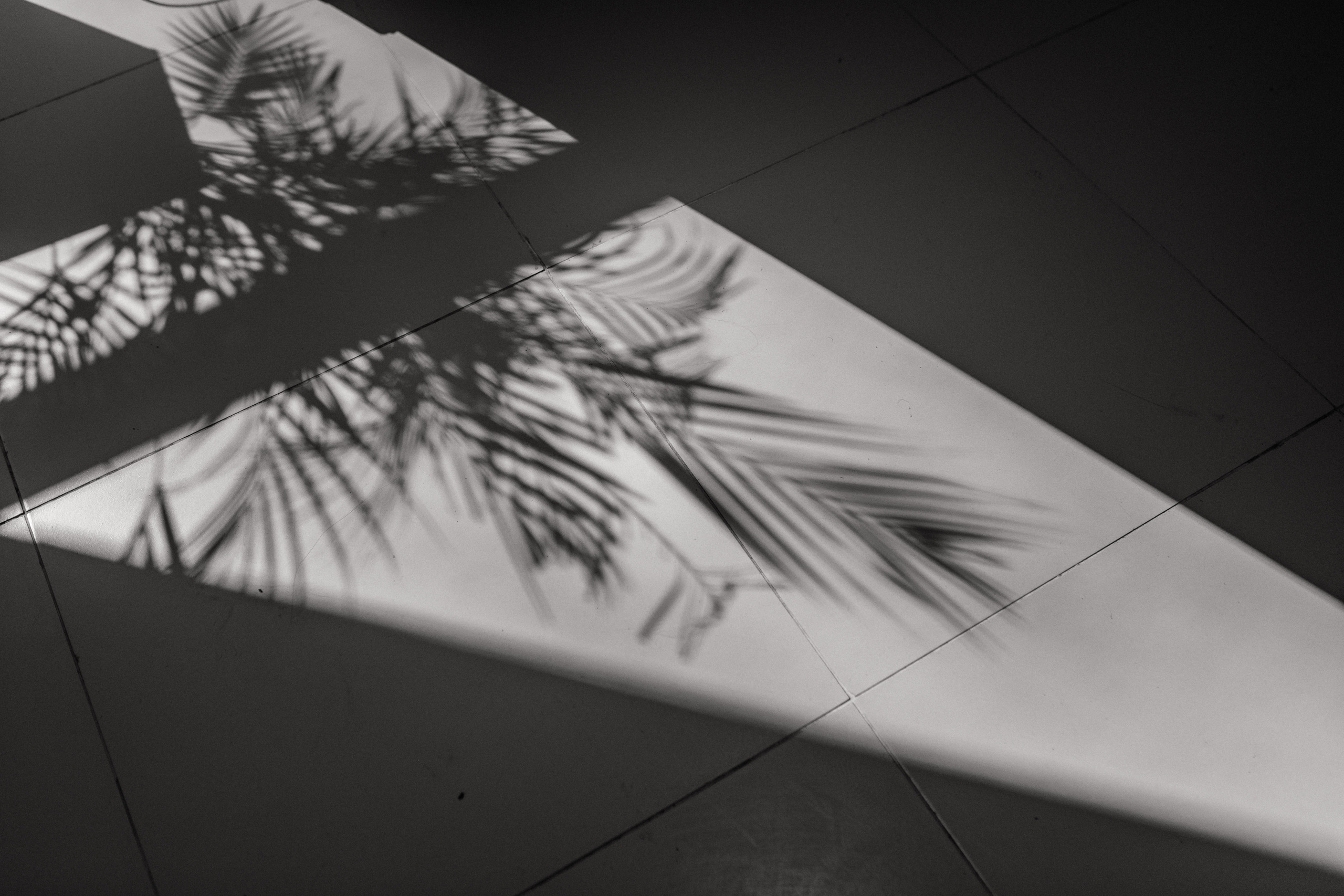 Елена и Александр. Анна Чугунова