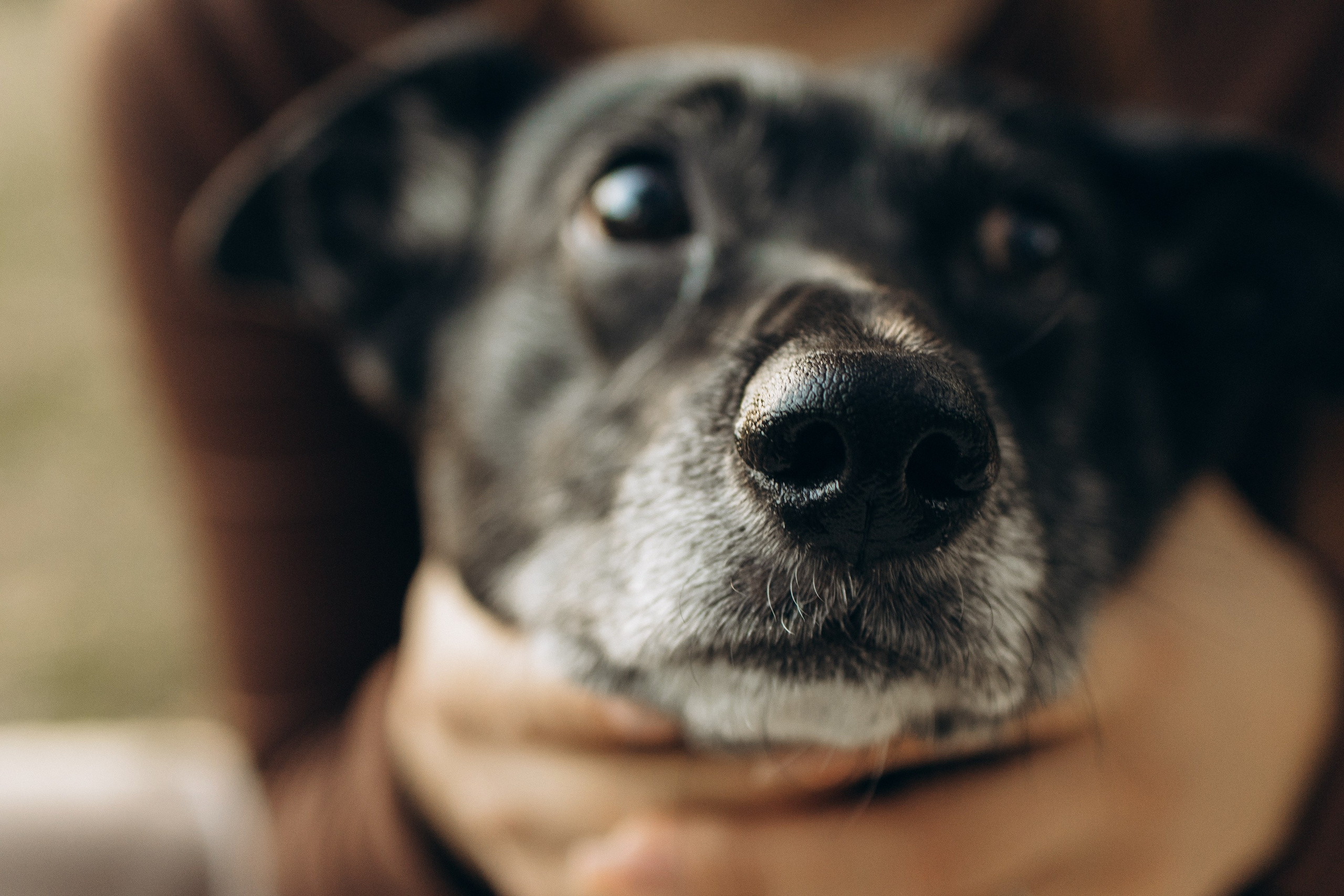 Влад и Ксюша. Самый теплый фотограф в Краснодаре Рябоконь Ксения