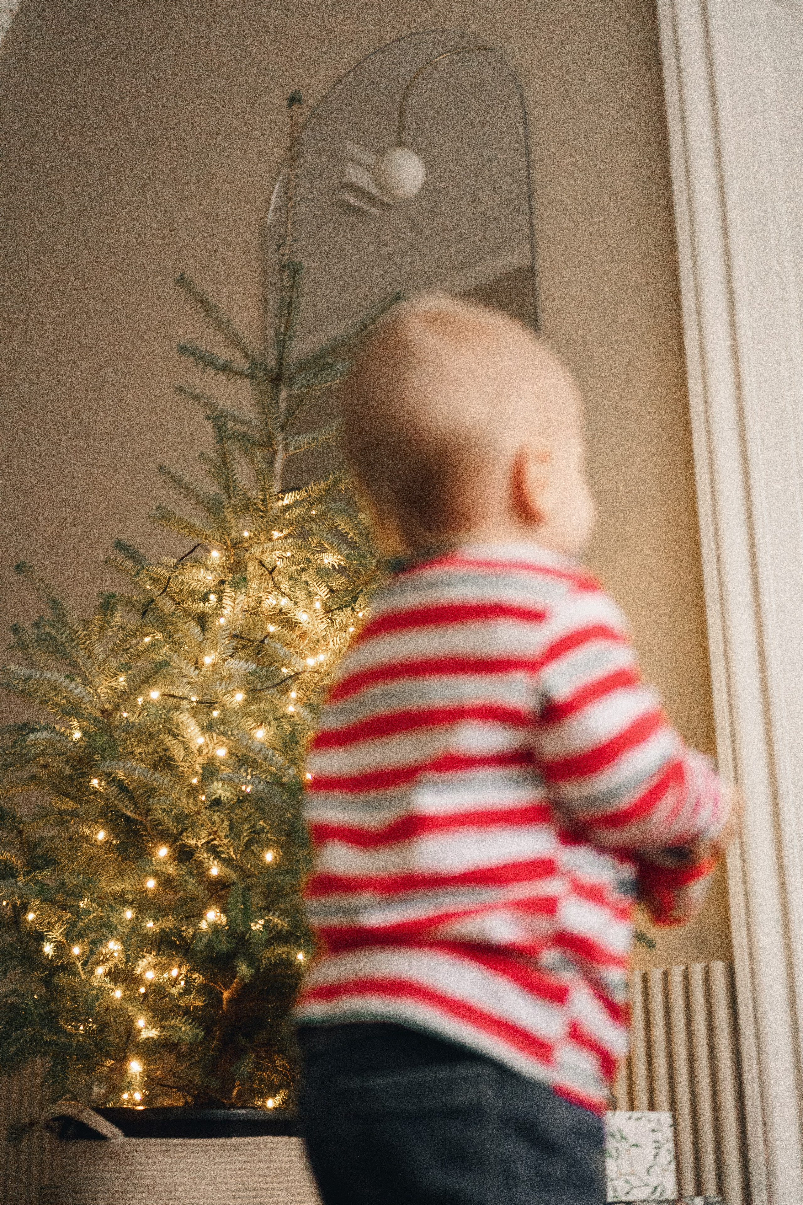 НОВОГОДНЯЯ В СТУДИИ. Профессиональный фотограф, Санкт-Петербург — Виктория Богомолова