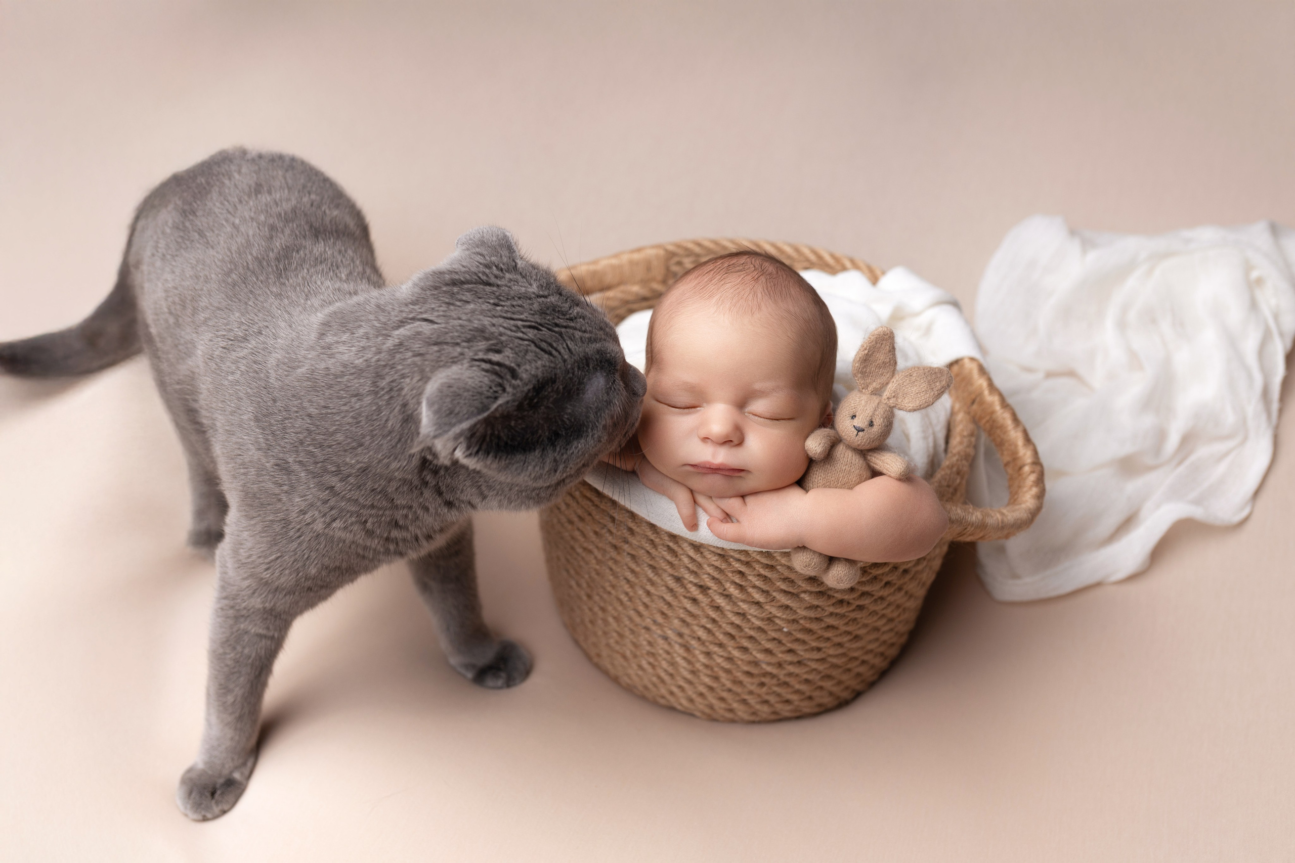 Newborn мальчики. Фотограф новорожденных Модяева Ирина