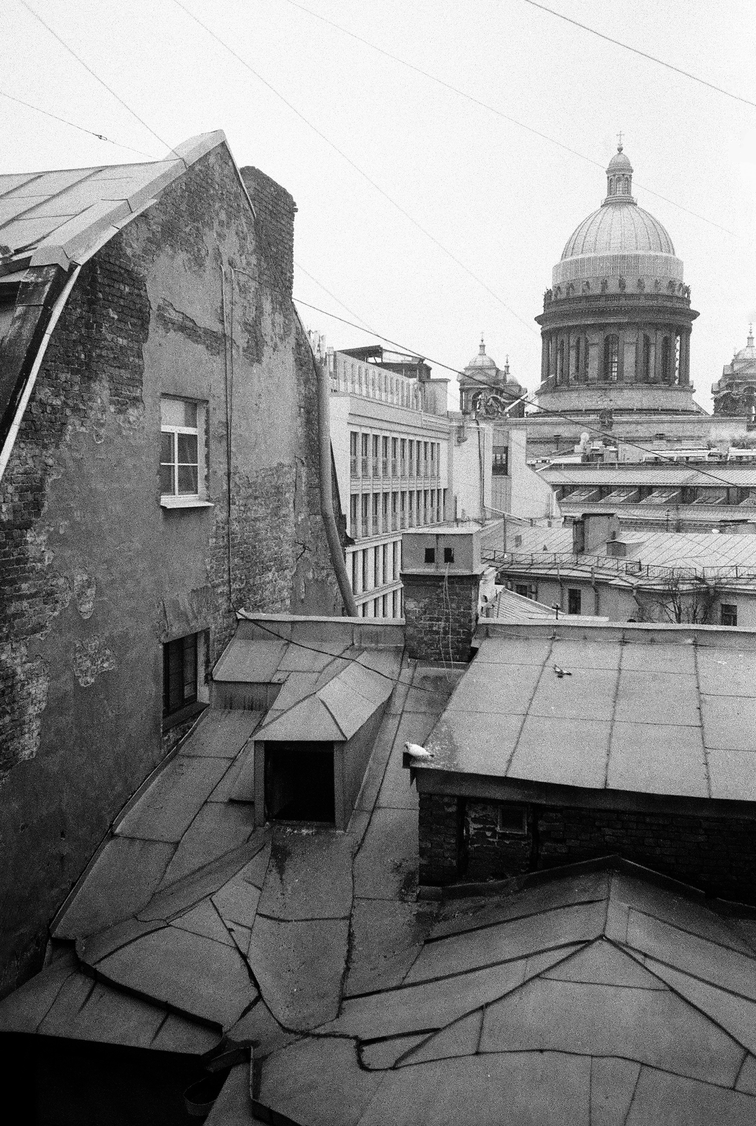 Фотографии черно-белые. Свадебный и семейный пленочный фотограф в Петербурге Истомина Ирина