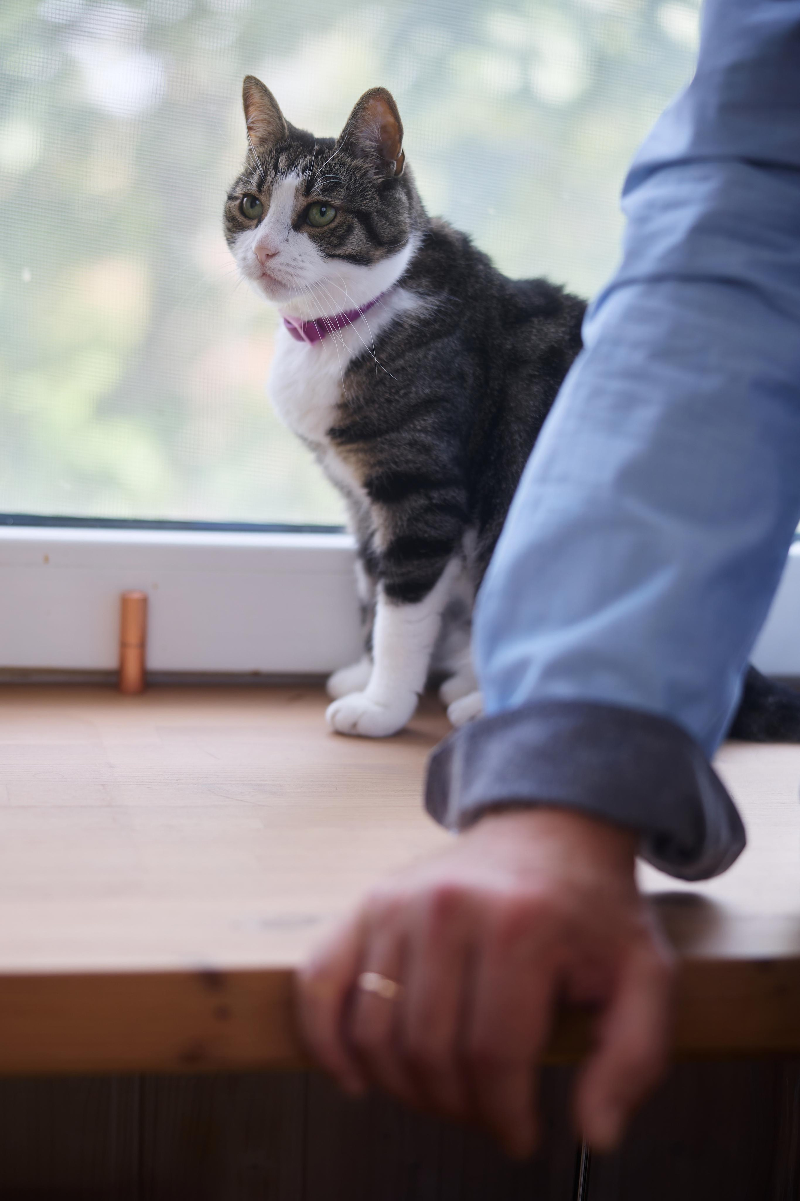 Ломагины. Фотограф Денис Персенен | Санкт-Петербург, Москва