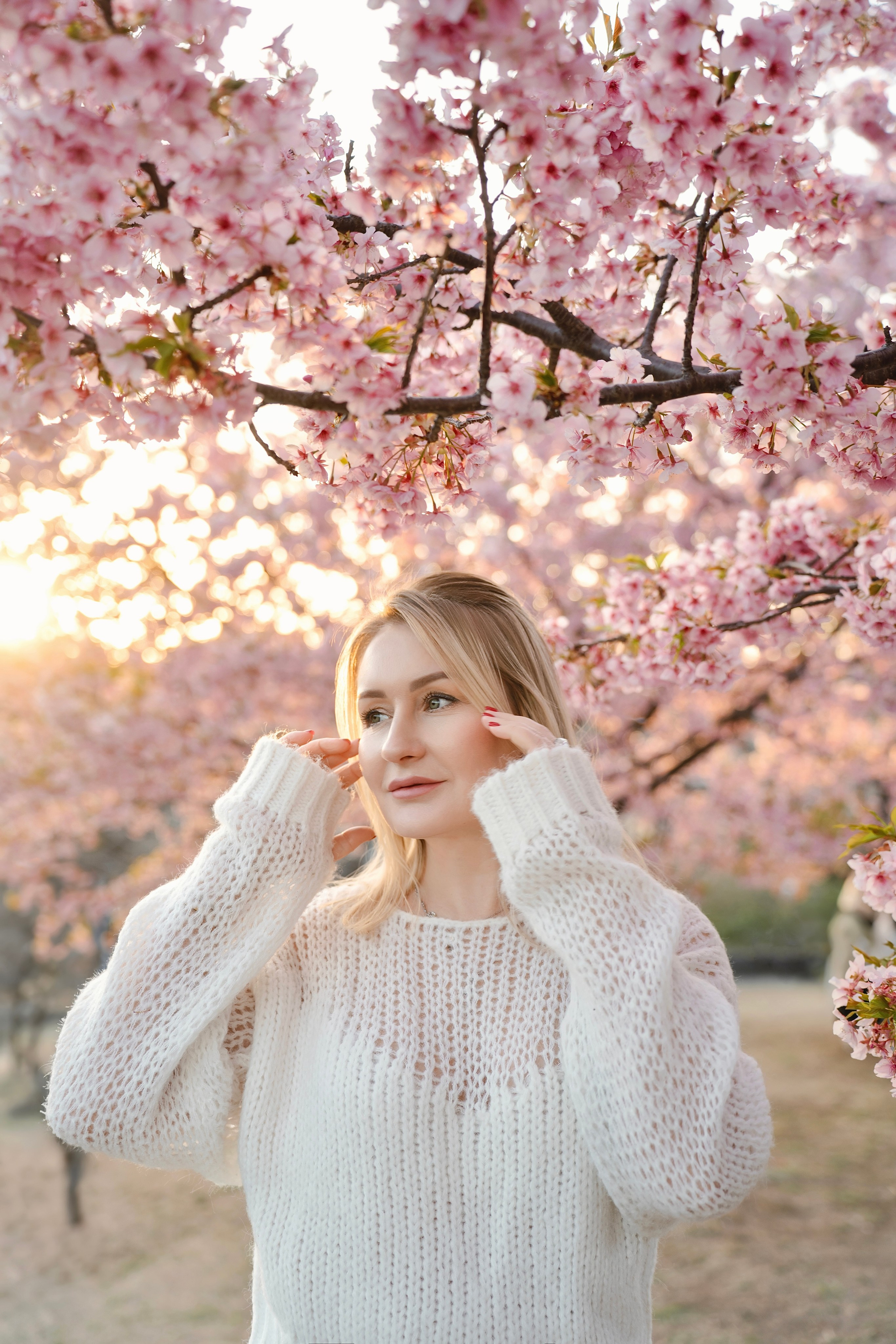 Sakura. Фотограф Алина Диева Москва | Токио