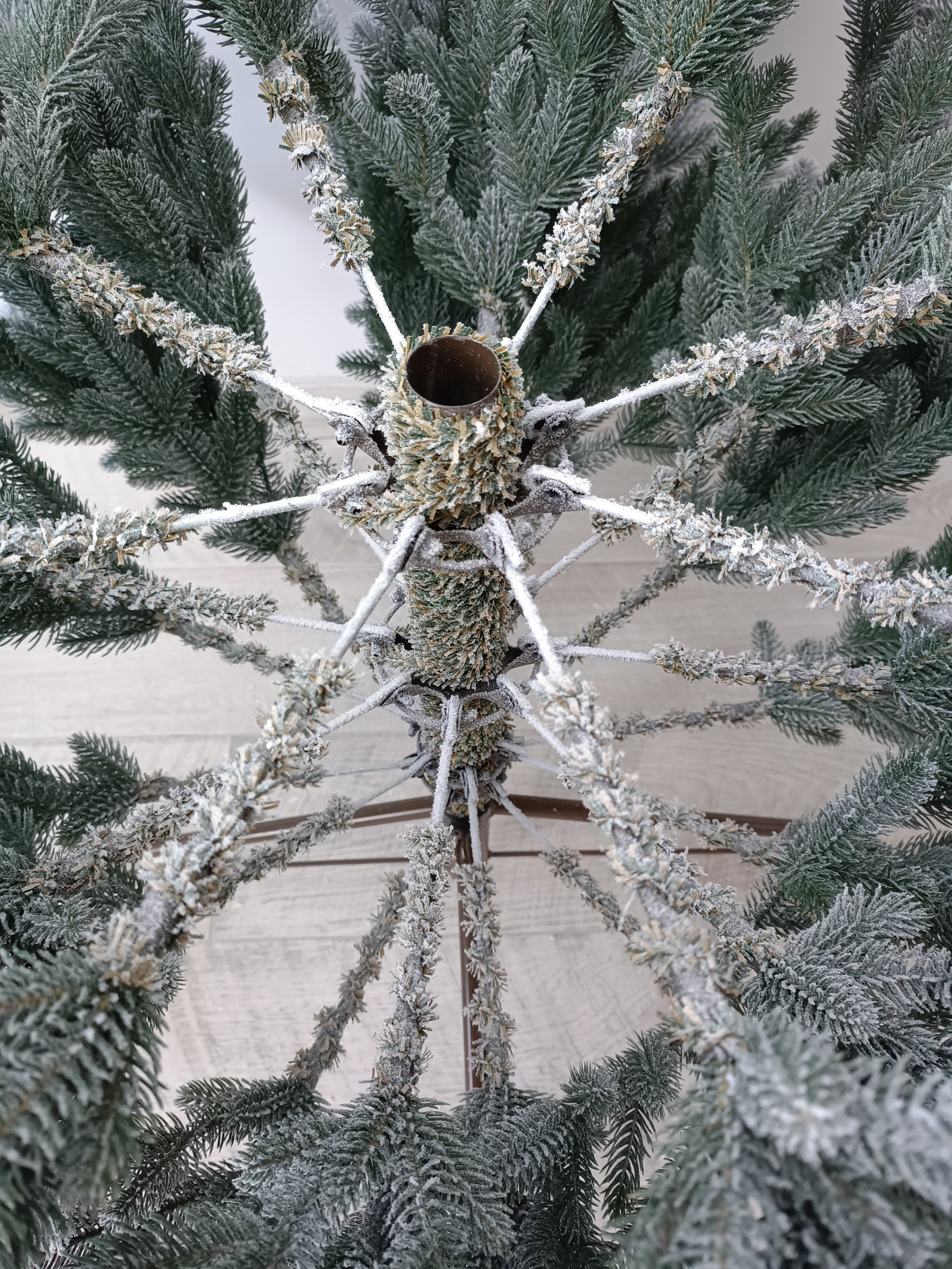 СЬЮЗАН. Elki_grodno