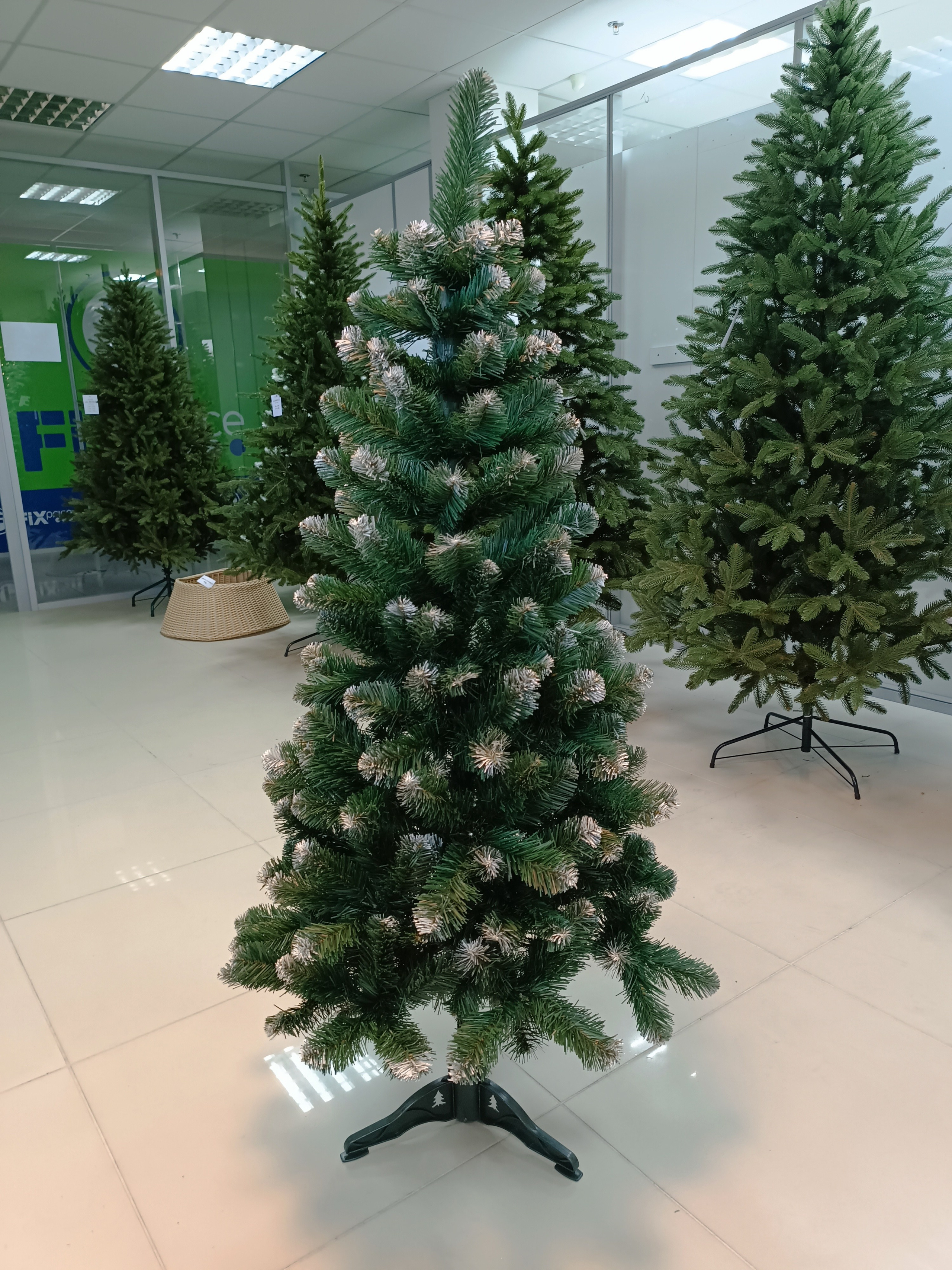 АЙРИС. Elki_grodno