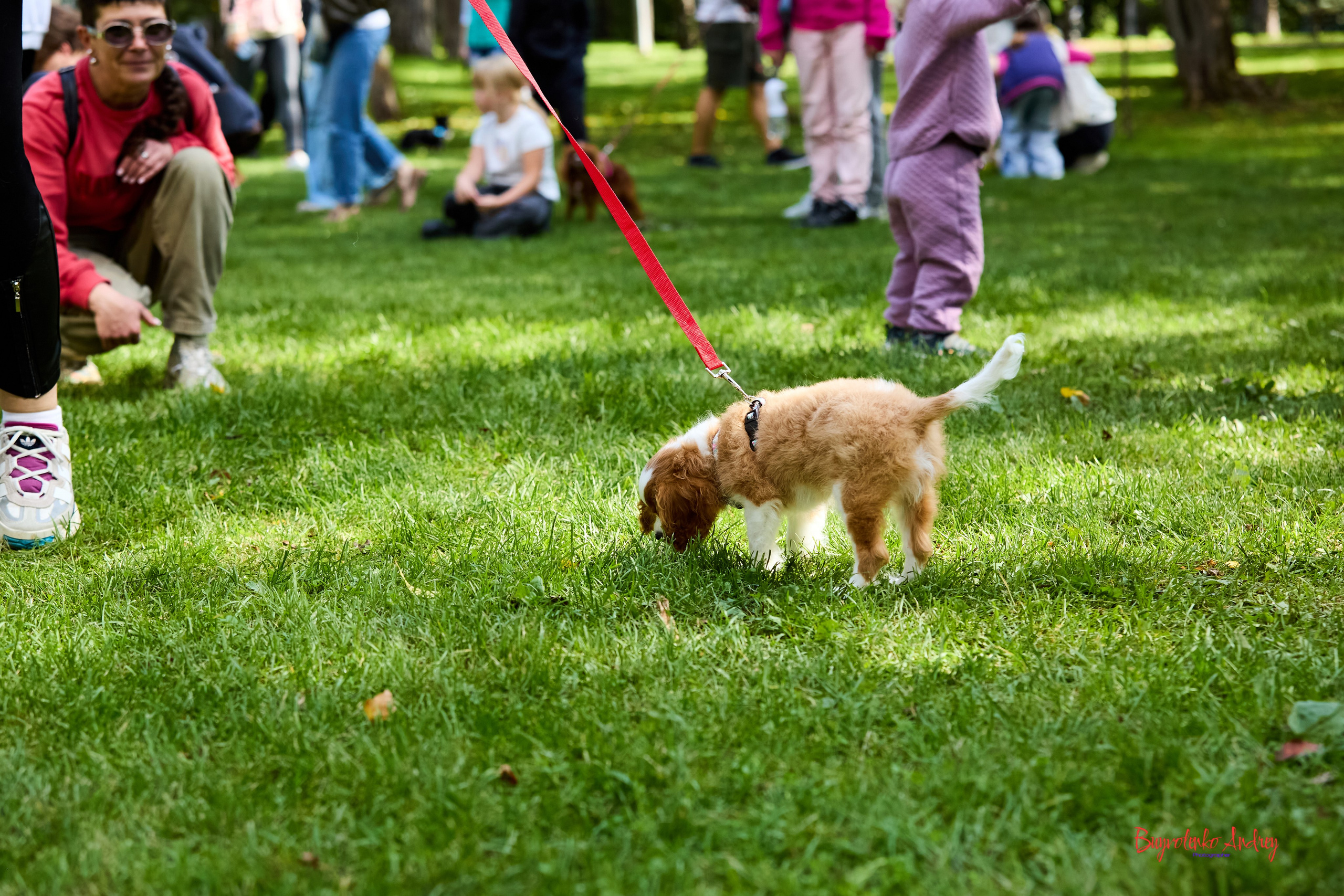 Фотопрогулка с кавалерами. Buyvolenko Andrey