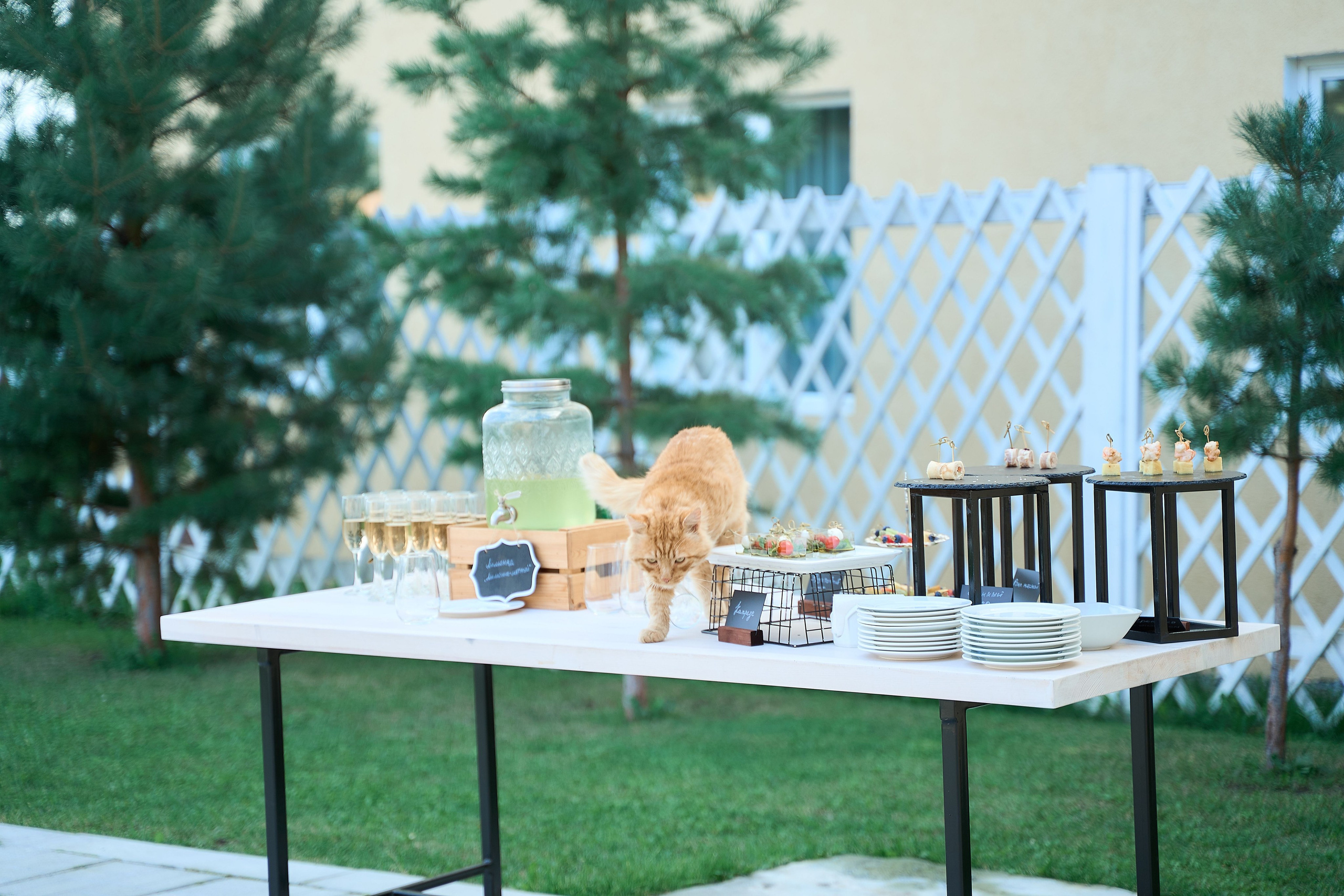 Марина. Фотограф и видеограф в Екатеринбурге