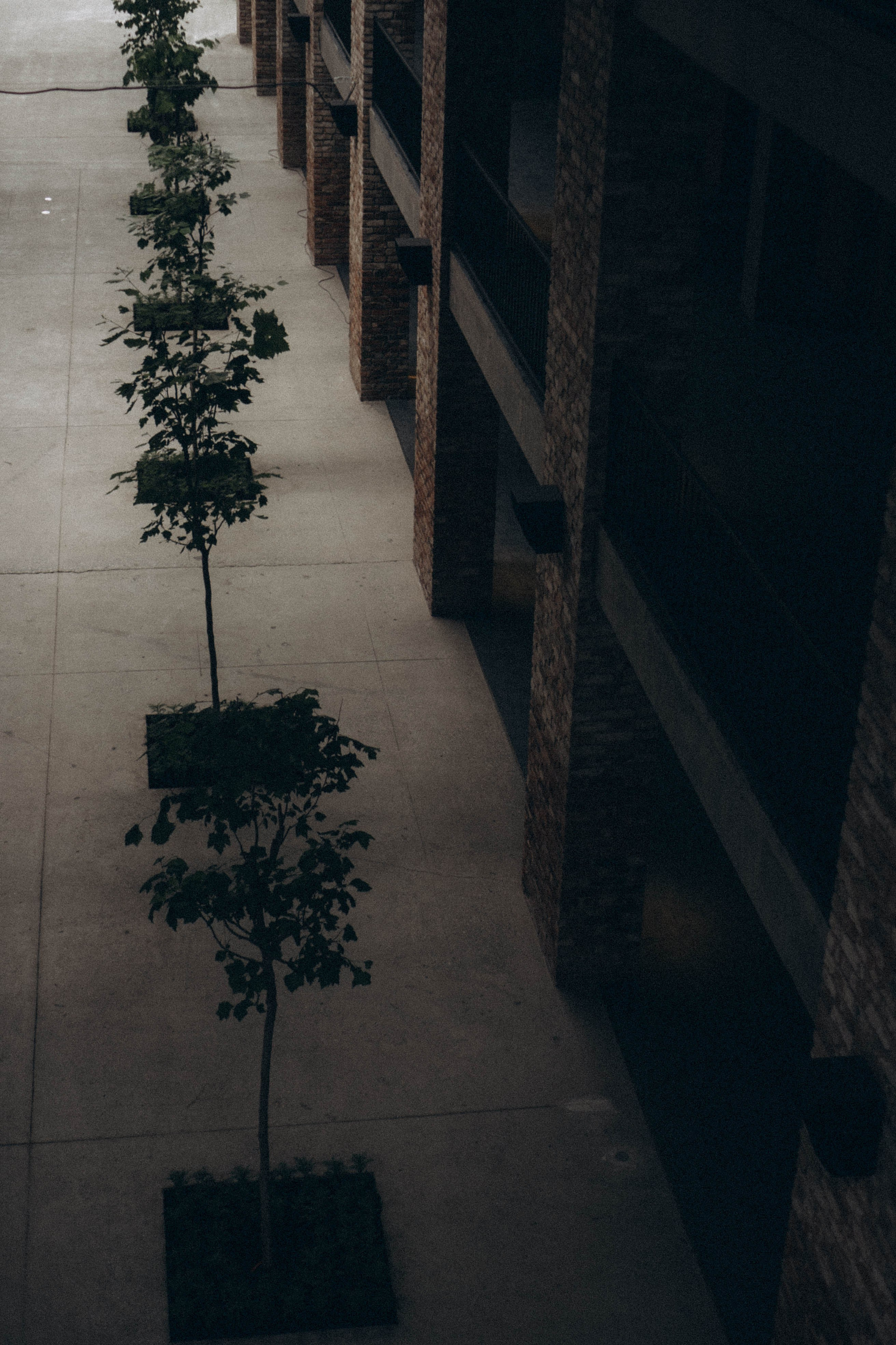 Кавказ. Профессиональный фотограф, Санкт-Петербург — Виктория Богомолова