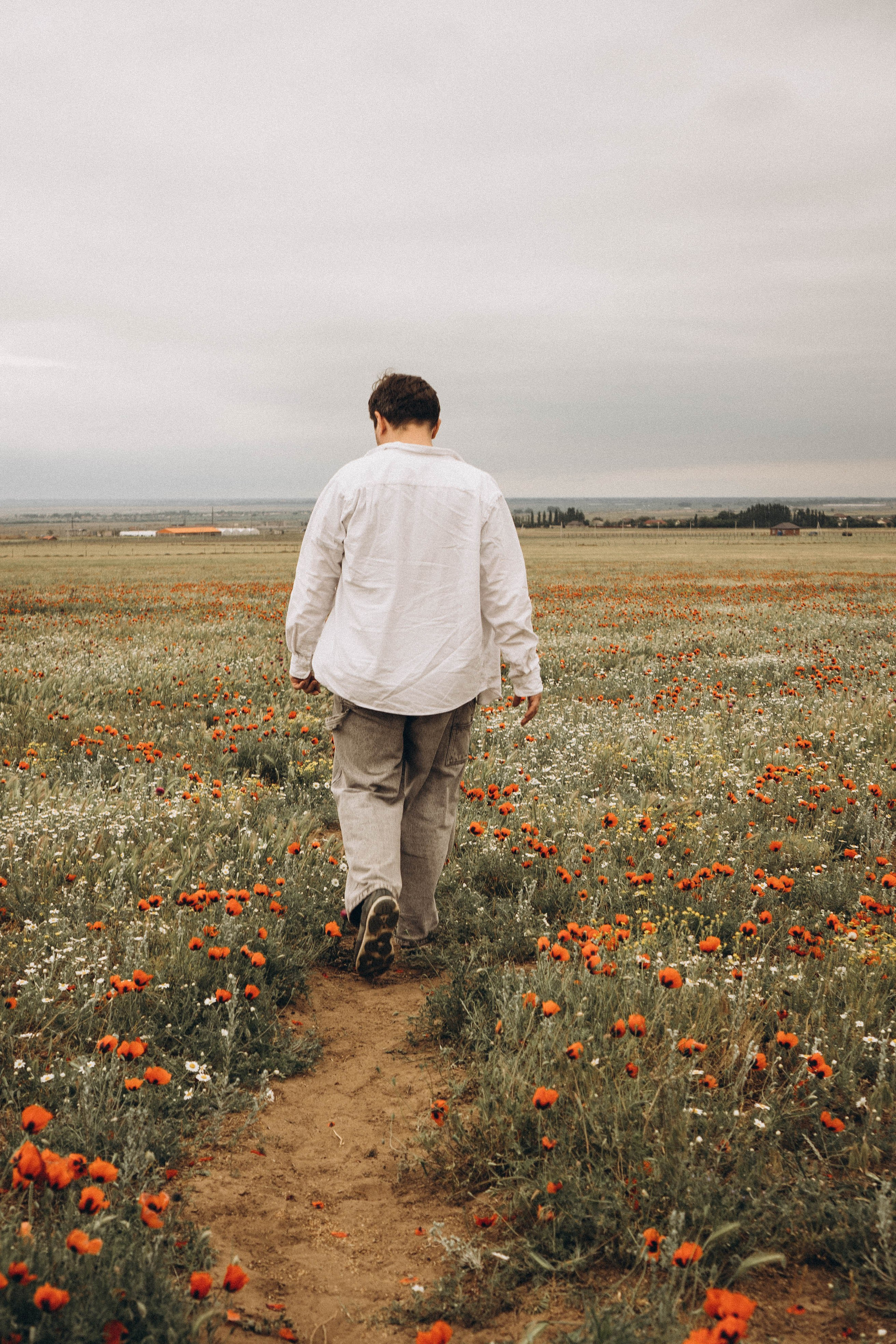 Маки. Профессиональный фотограф, Санкт-Петербург — Виктория Богомолова