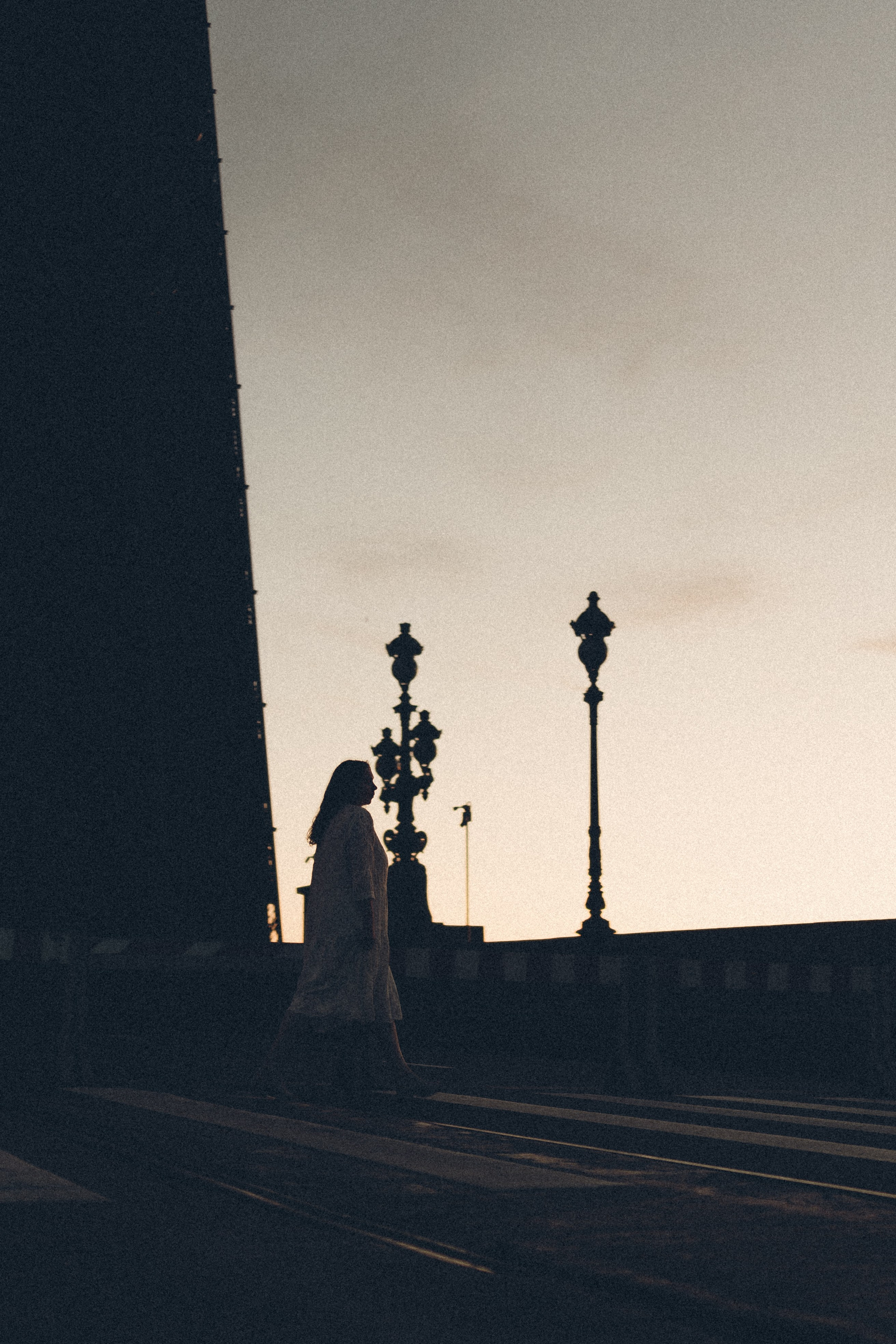 РАССВЕТ С РАЗВОДНЫМИ МОСТАМИ. Профессиональный фотограф, Санкт-Петербург — Виктория Богомолова