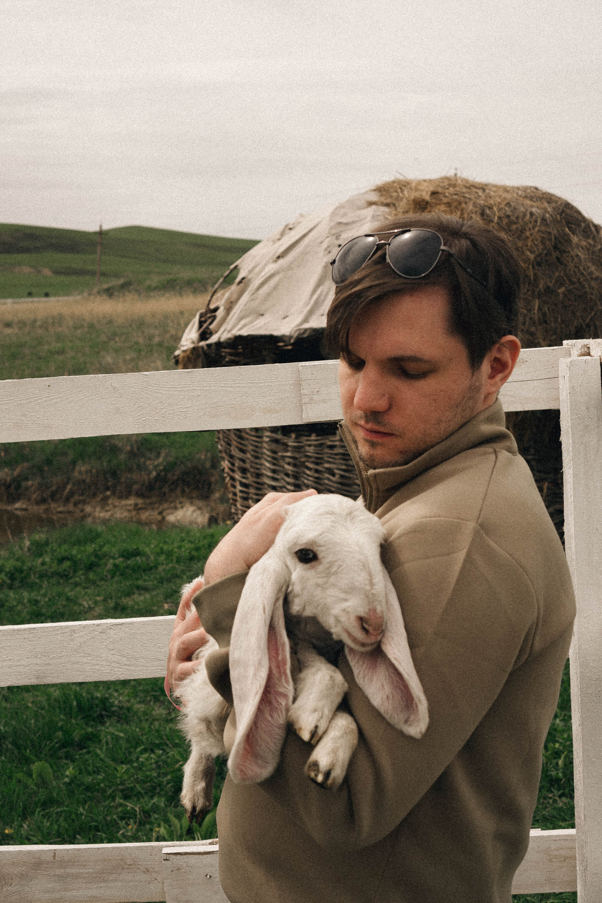 Ферма Альпак. Профессиональный фотограф, Санкт-Петербург — Виктория Богомолова