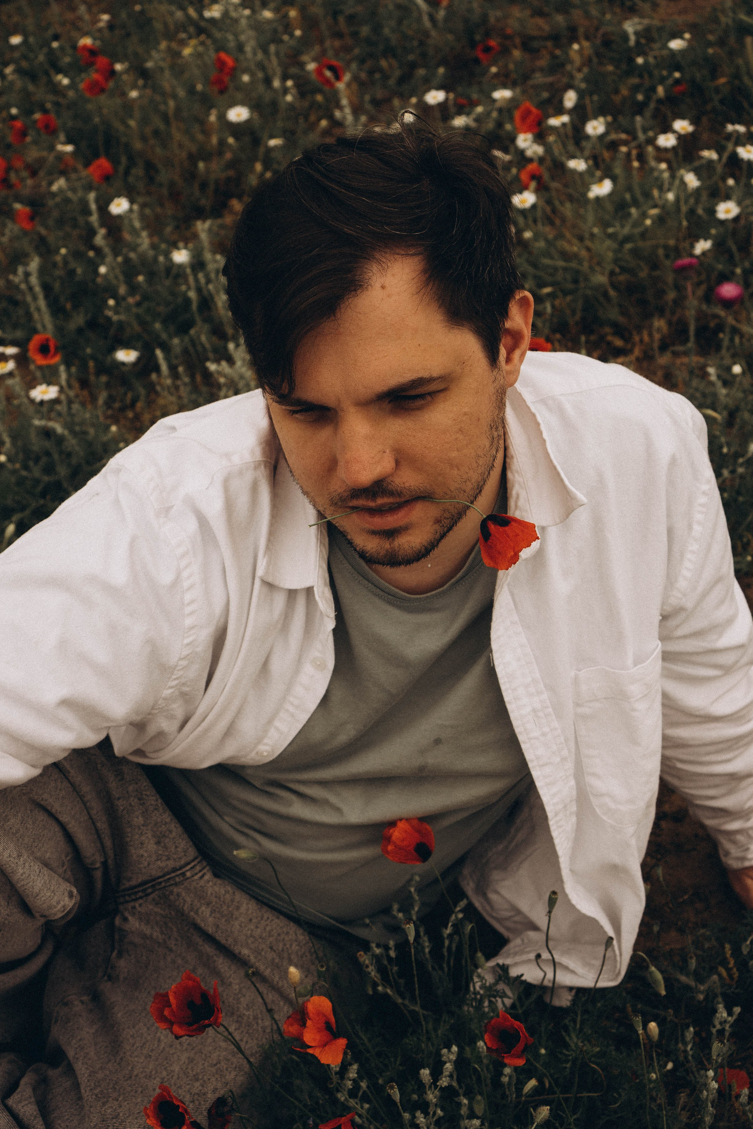 Маки. Профессиональный фотограф, Санкт-Петербург — Виктория Богомолова