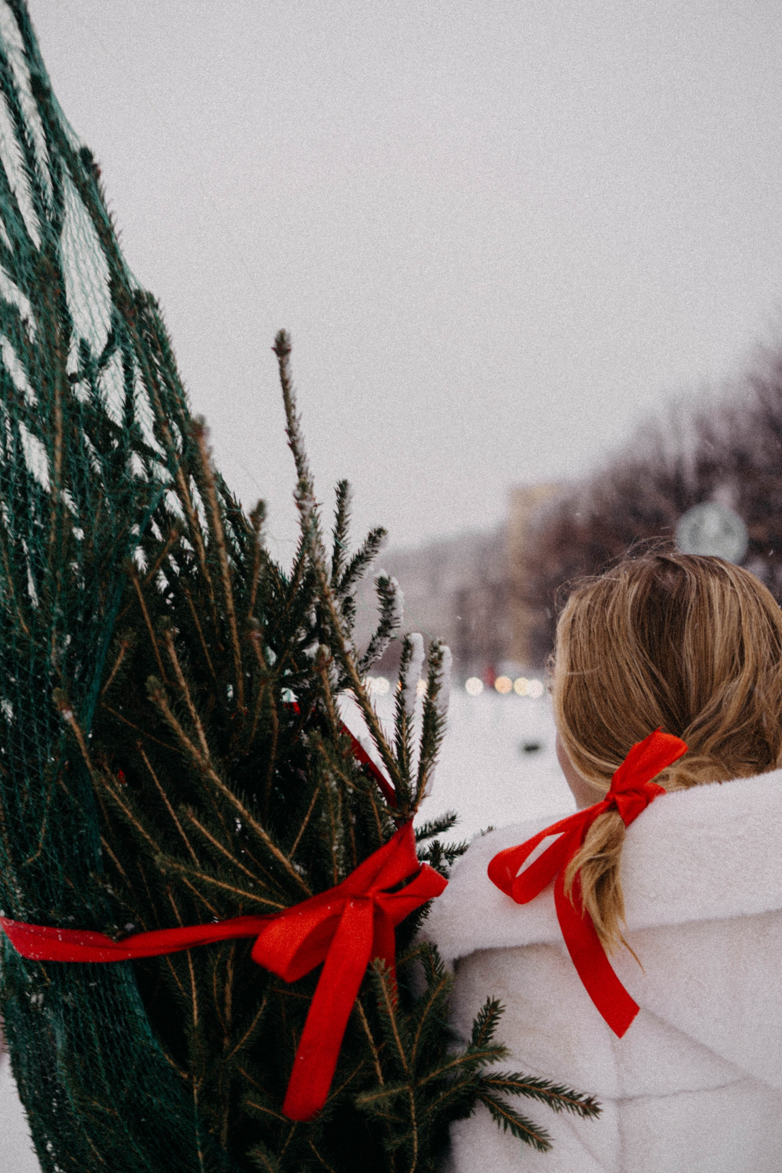 Новогодняя. Профессиональный фотограф, Санкт-Петербург — Виктория Богомолова