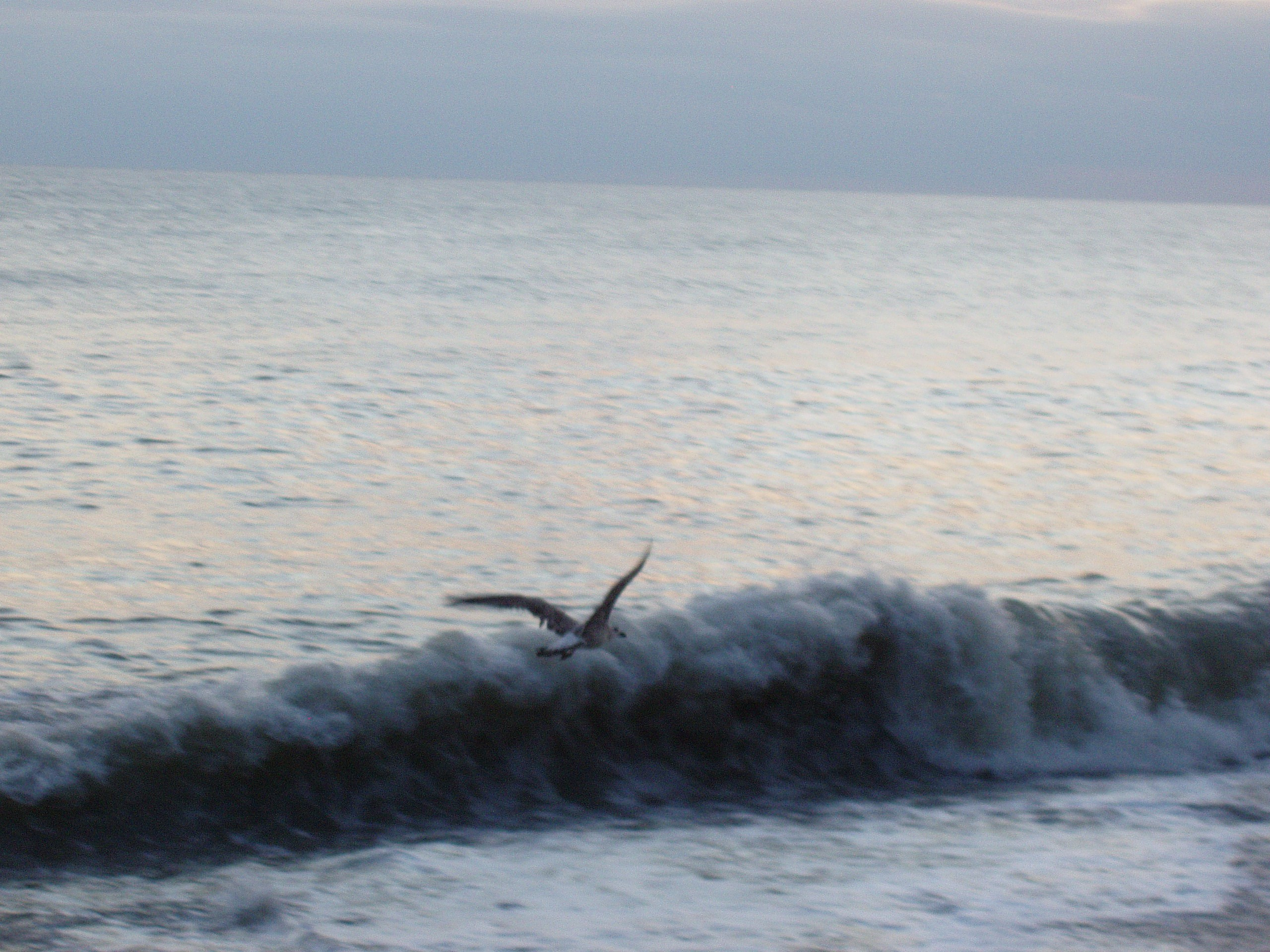 Отпуск 28.07-17.08. Семейный, Свадебный фотограф СПБ Питер— Романова Екатерина