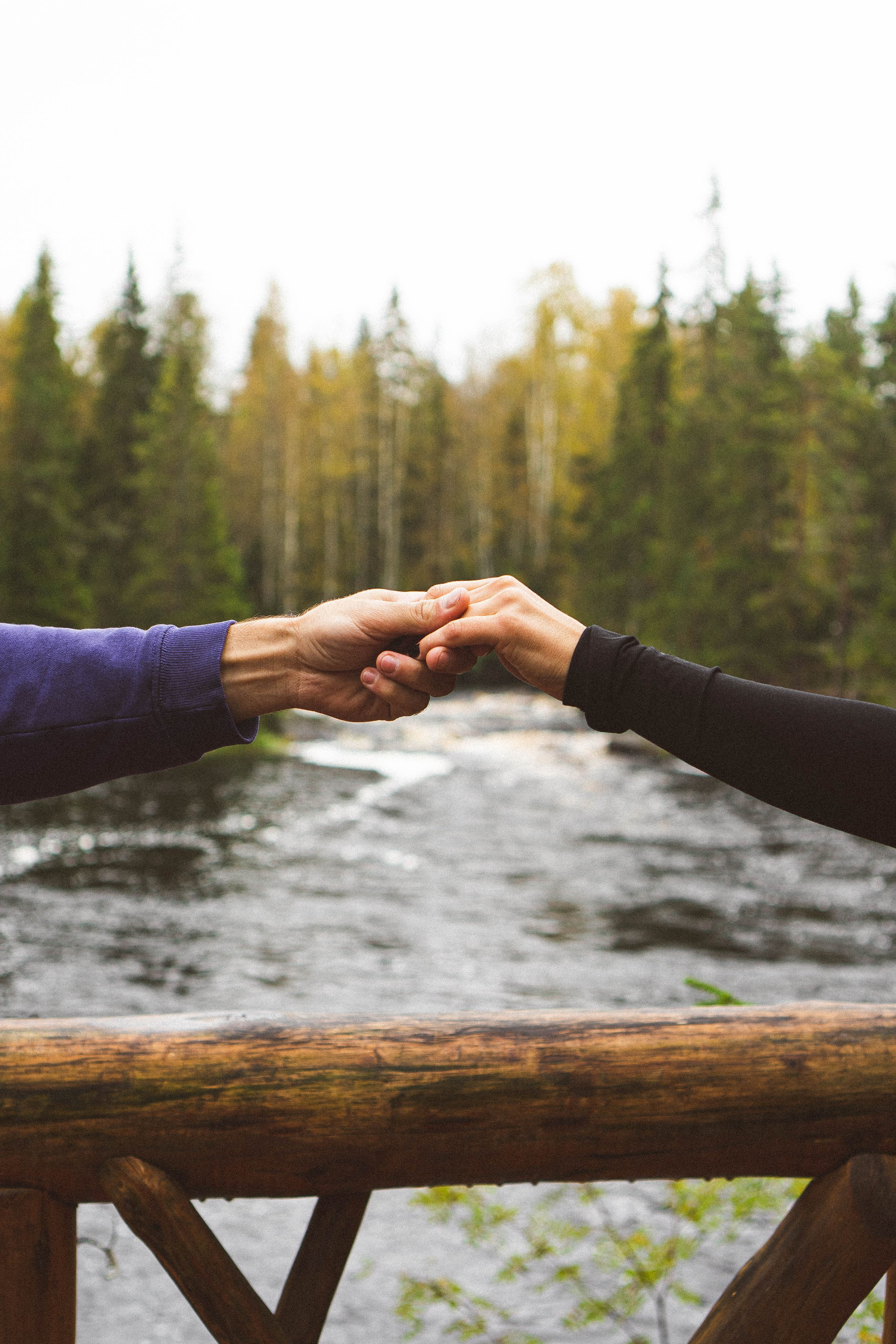 Прогулка на природе. Профессиональный фотограф, Санкт-Петербург — Виктория Богомолова