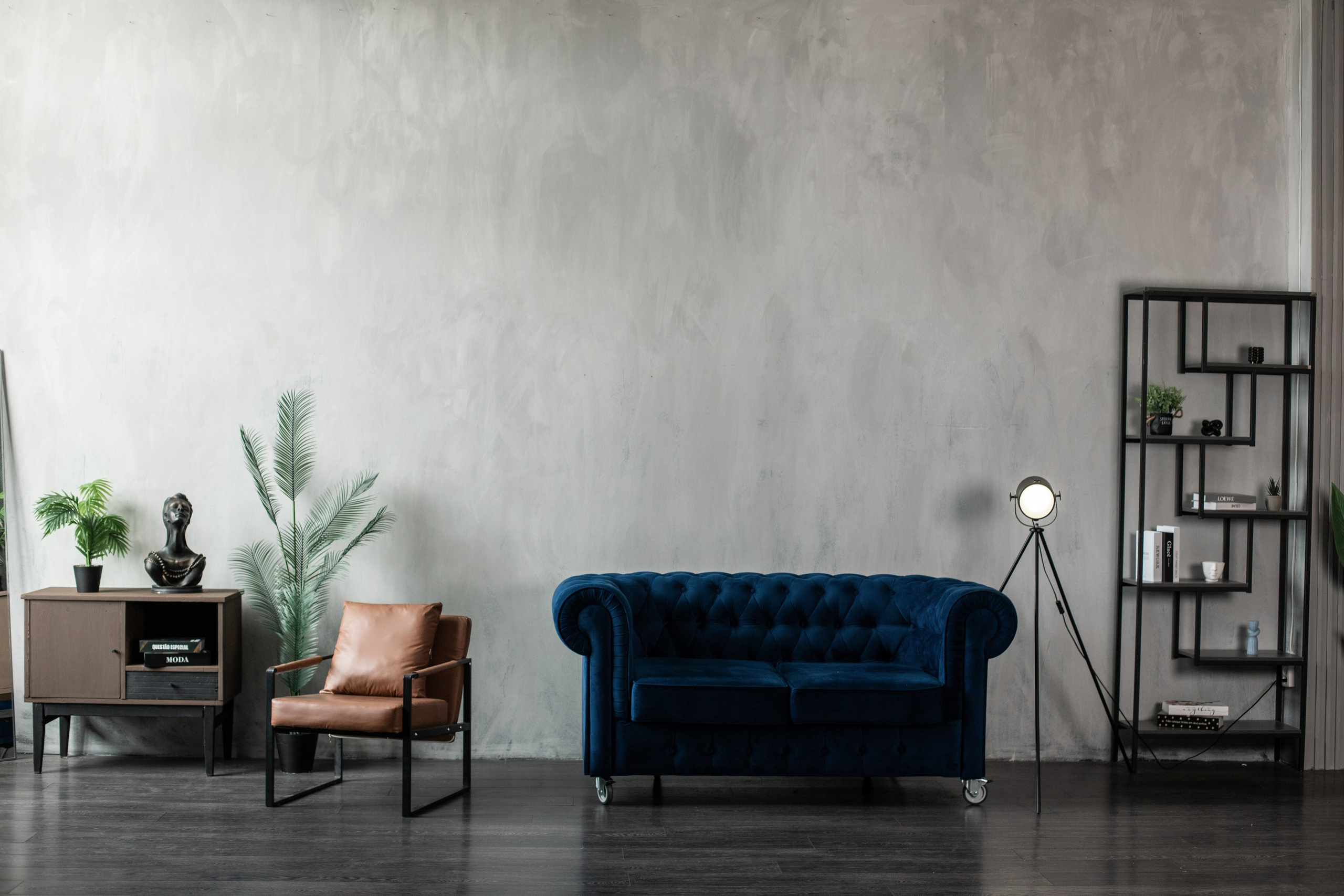 Честер (студия Зеркало). Фотограф г. Хабаровск. Семейные и индивидуальные съёмки