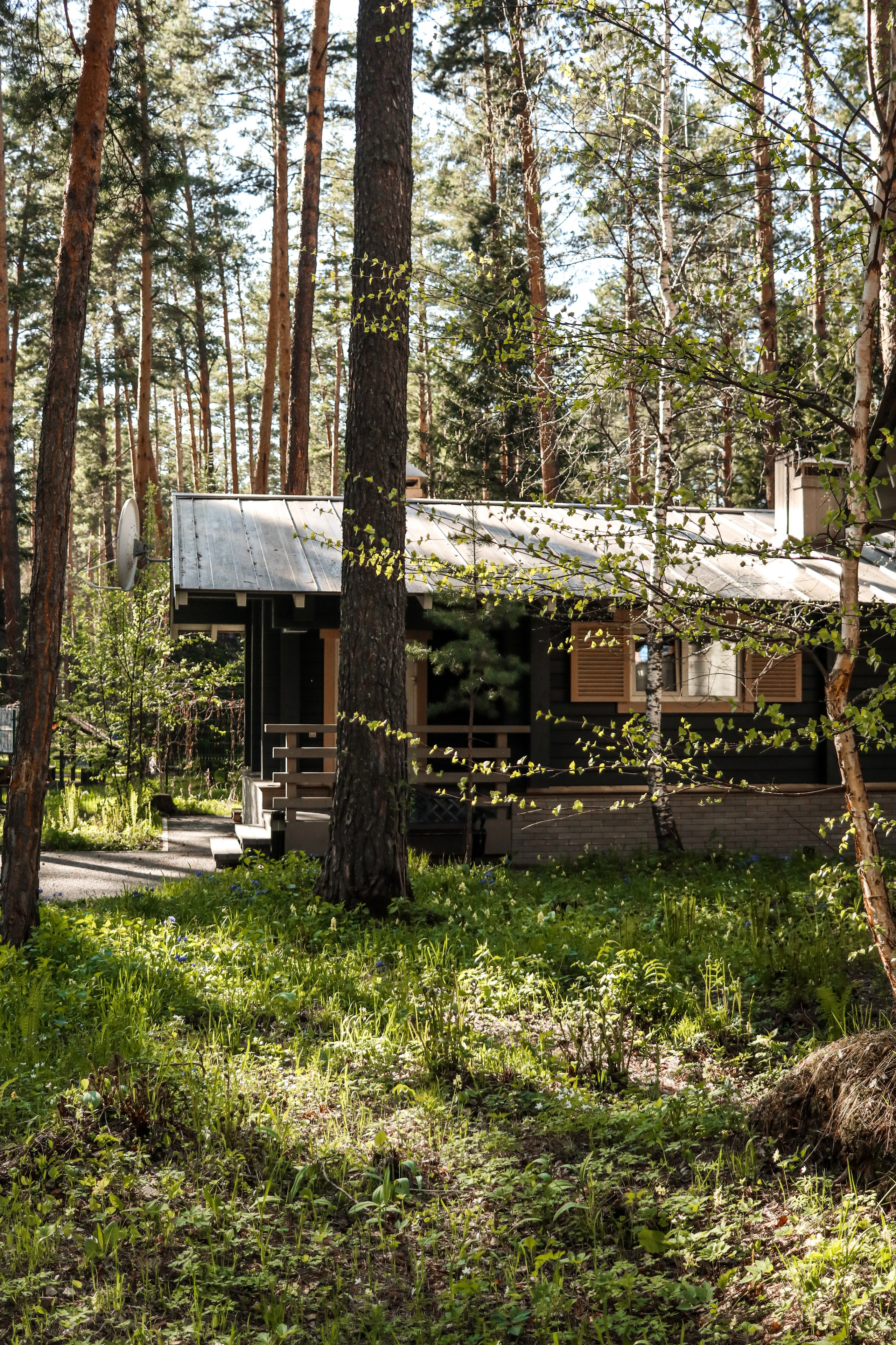 «Тэнери» горный отель, респ. Алтай. Контент фотограф Дмитрий Борисов