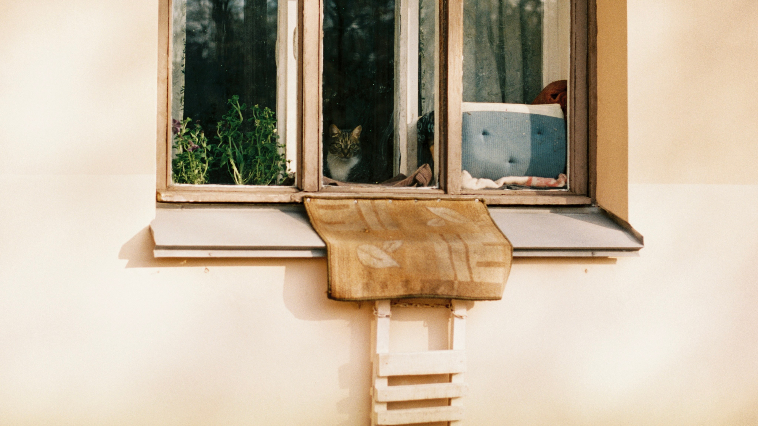 Весной 2025. ФОТОМЕТАОХОТА