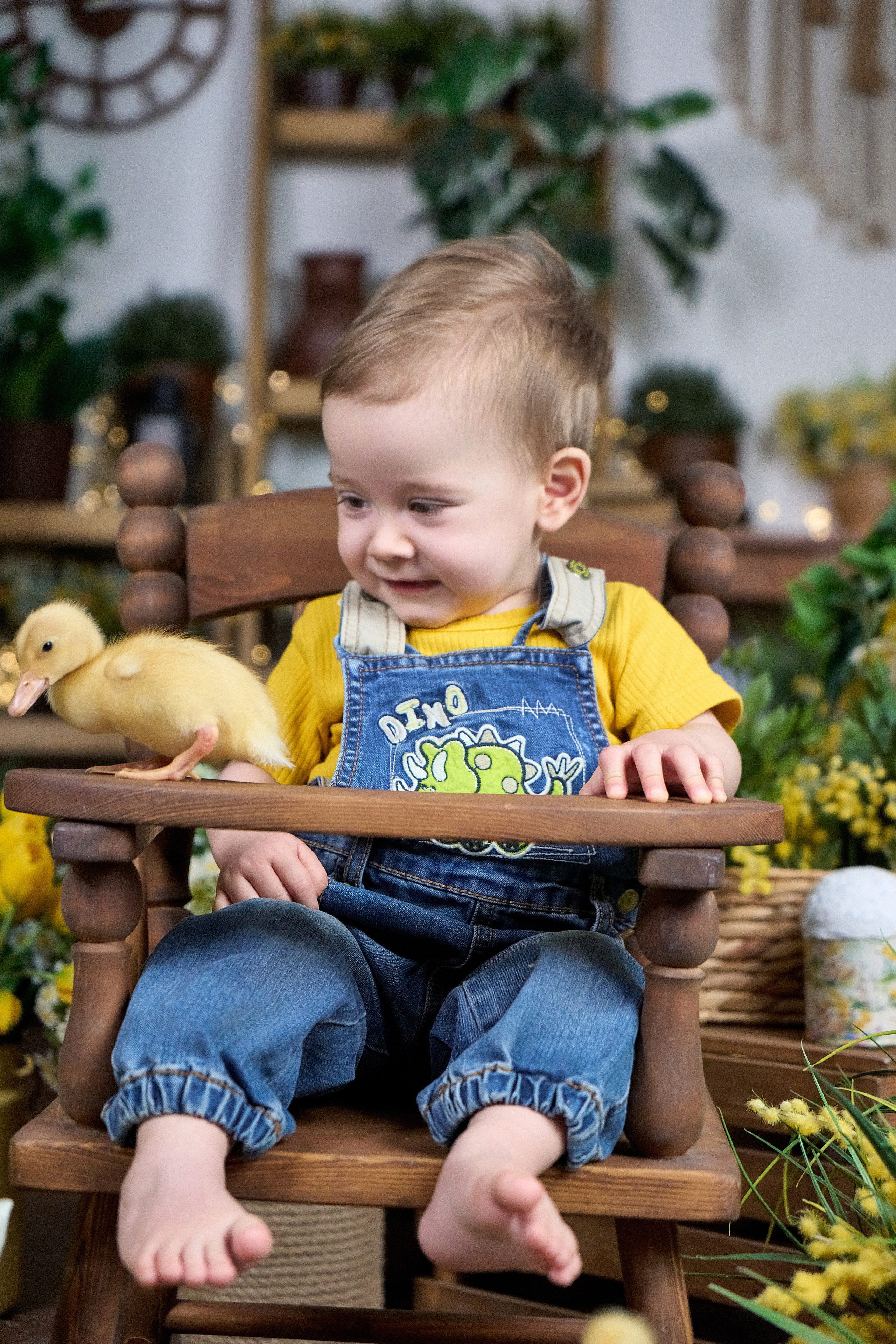 Пасхальная фотосессия с животными в&nbsp;студии «Антураж» Краснодар