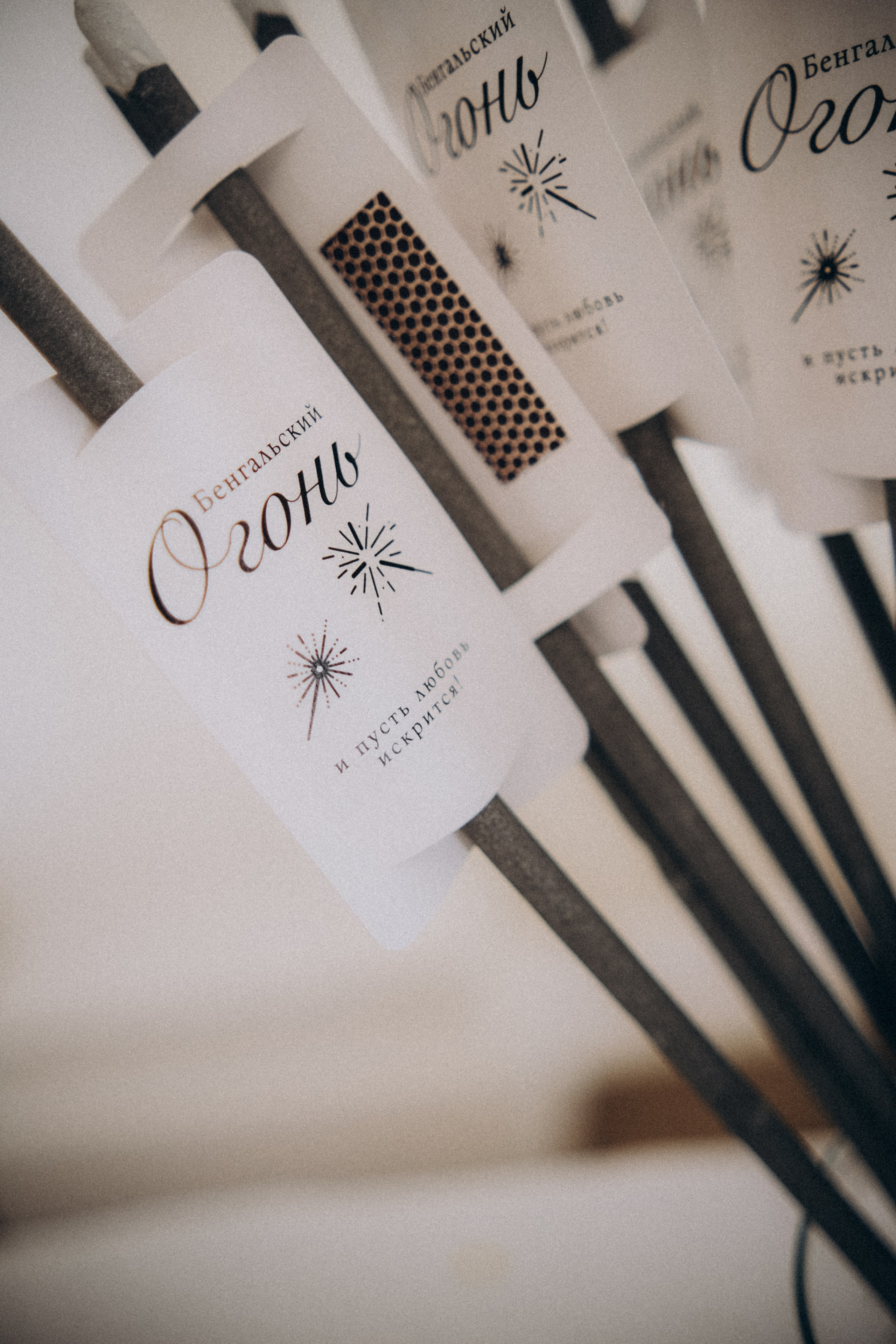 Рида & Богдан. Пушкин. Phdkvmr.ru